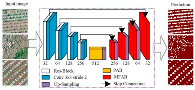 Plants 13 03186 i007