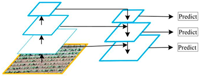 Plants 13 03186 i008