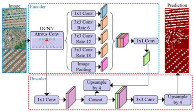 Plants 13 03186 i010