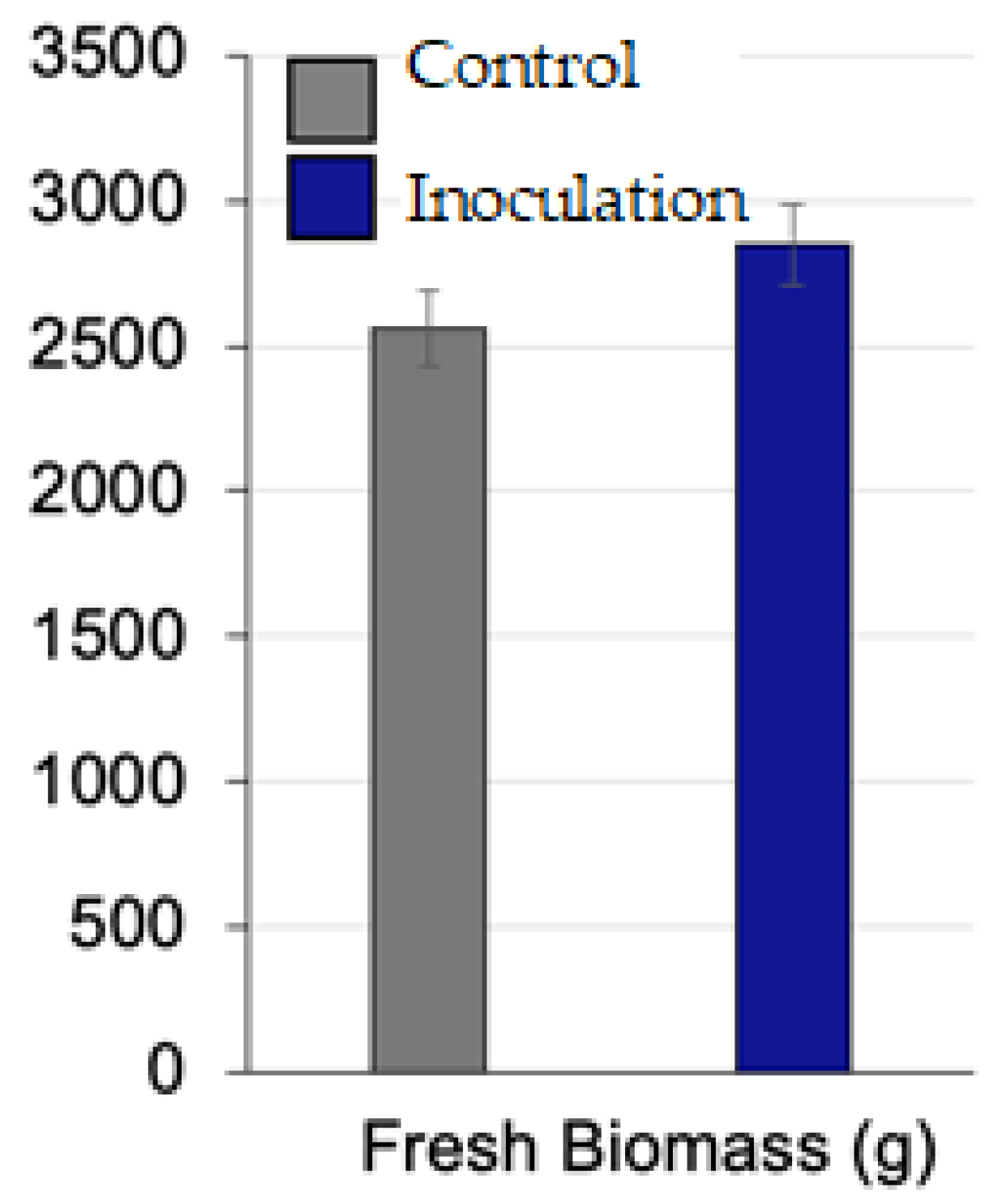 Plants 13 03191 g006