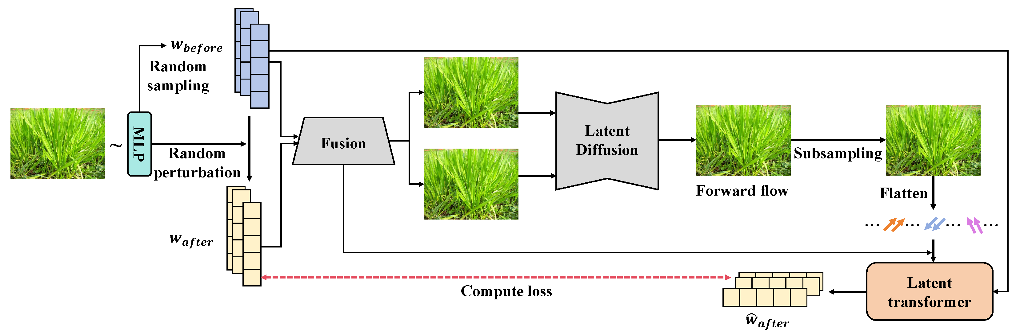 Plants 13 03192 g003