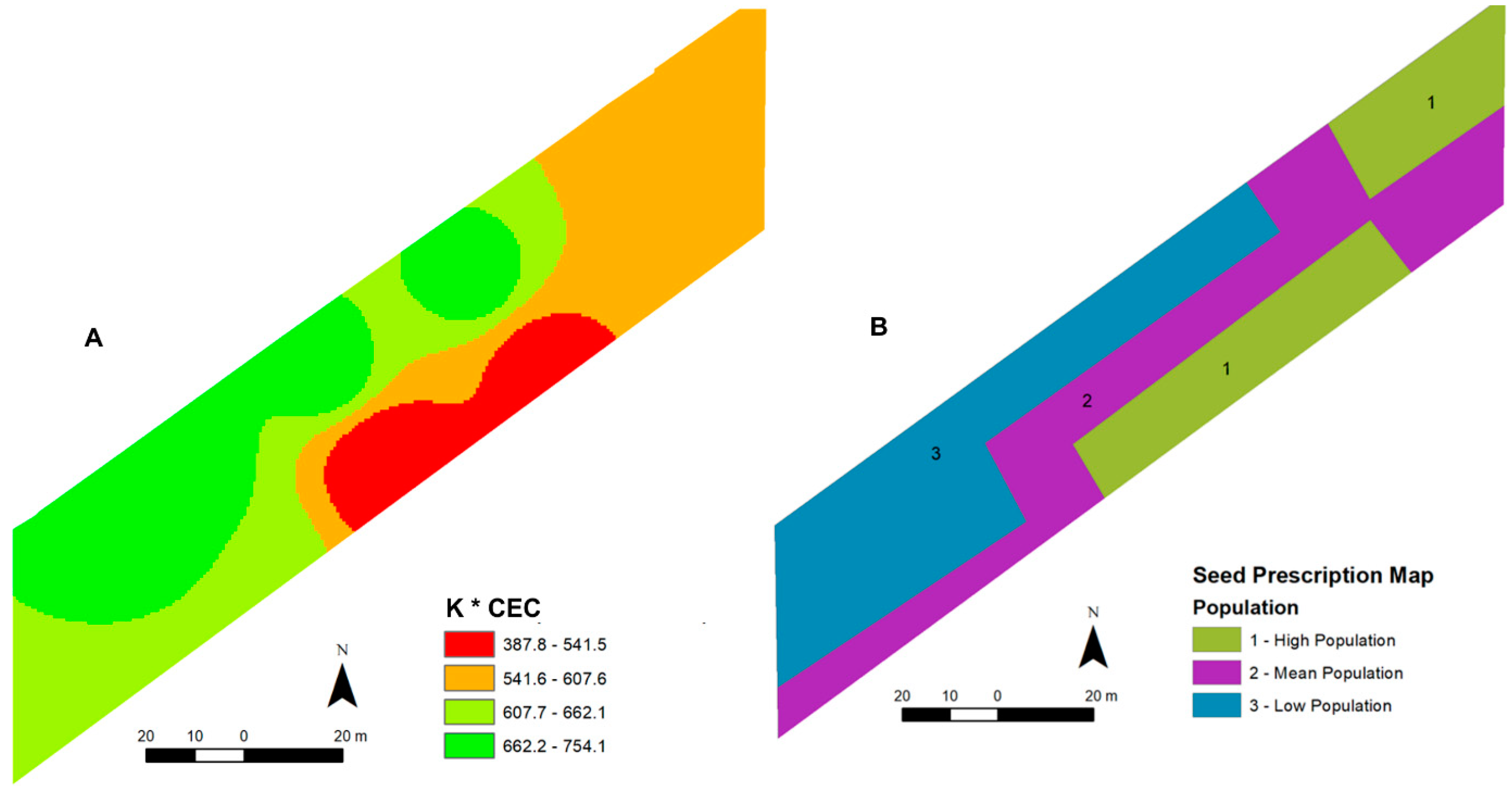 Plants 13 03193 g003