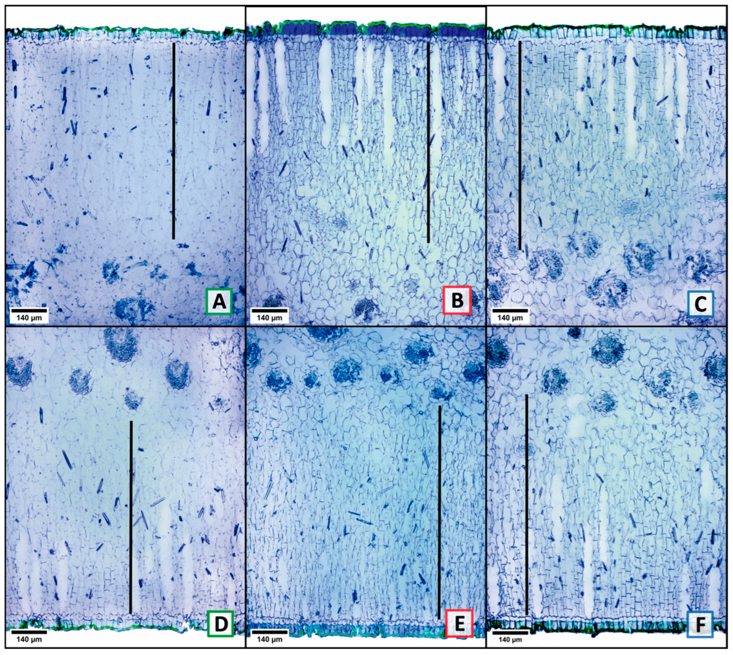 Plants 13 03195 g004 Plants 13 03195 g004