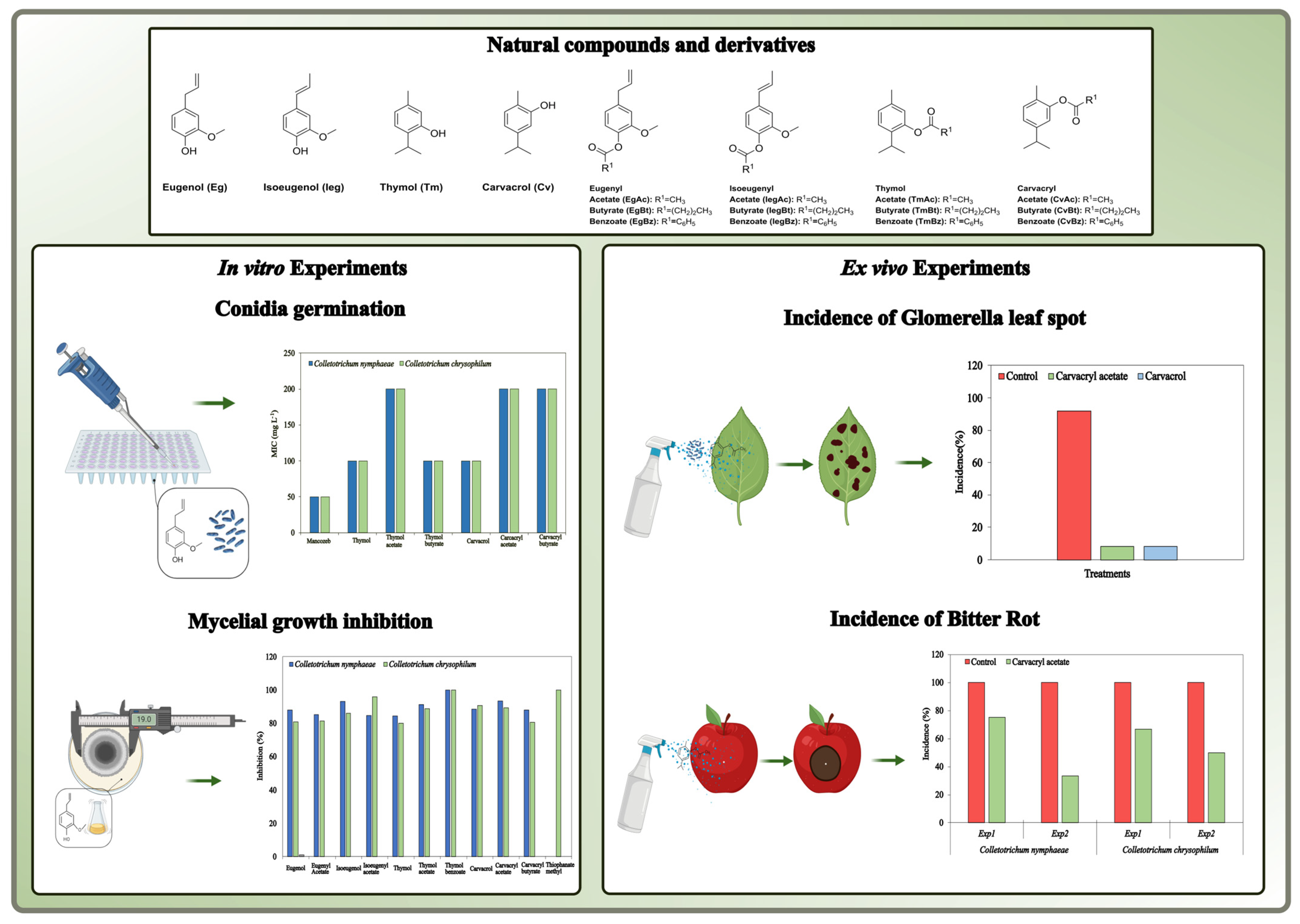 Plants 13 03196 g002
