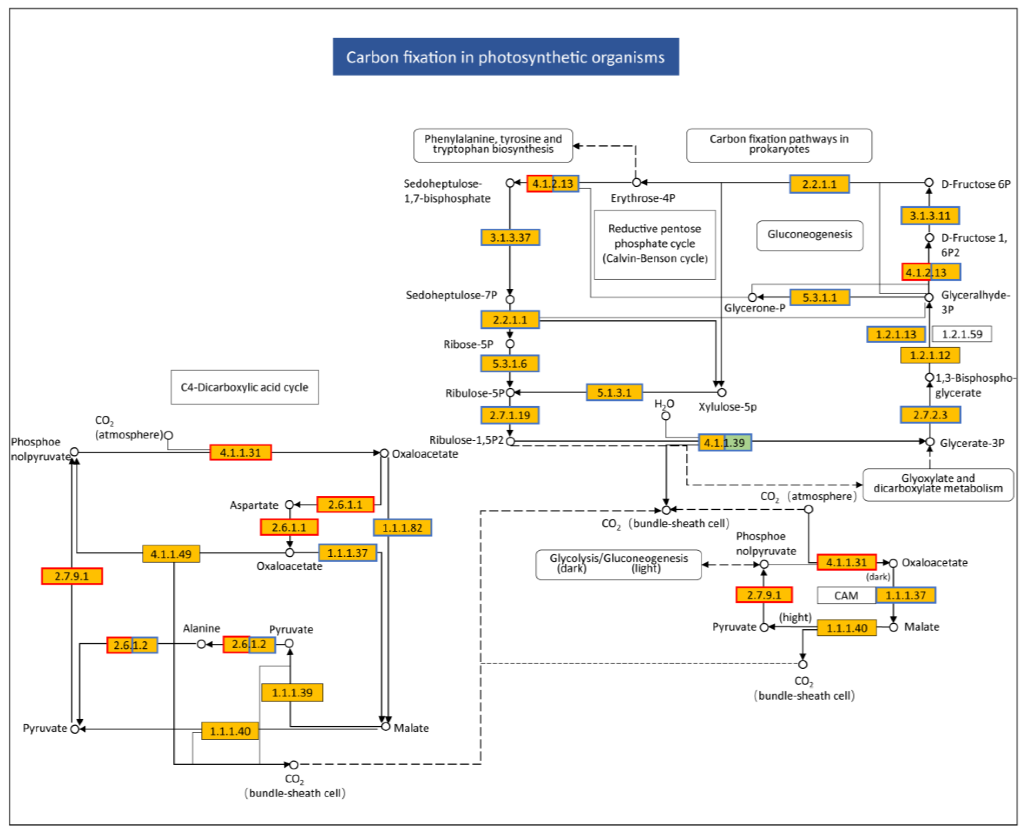 Plants 13 03198 g006