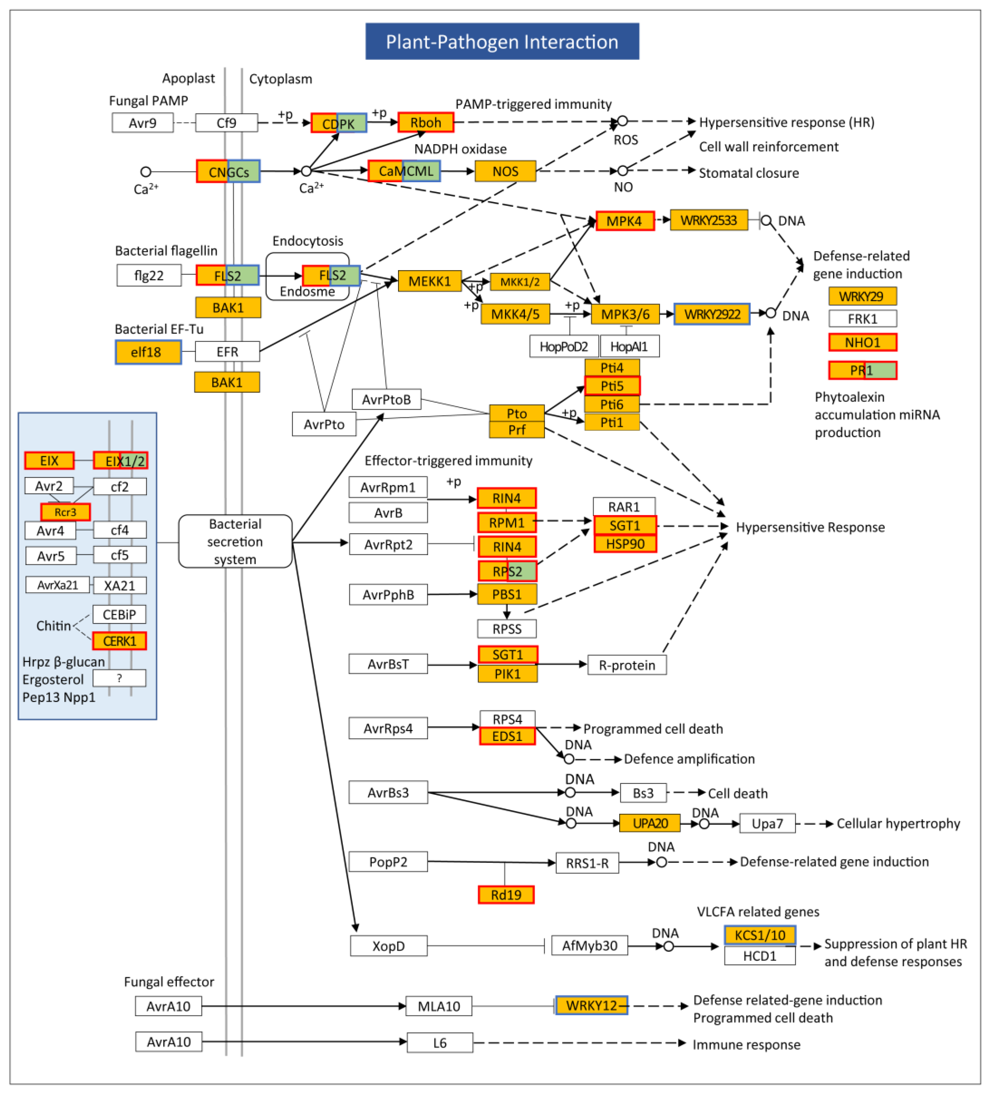 Plants 13 03198 g008