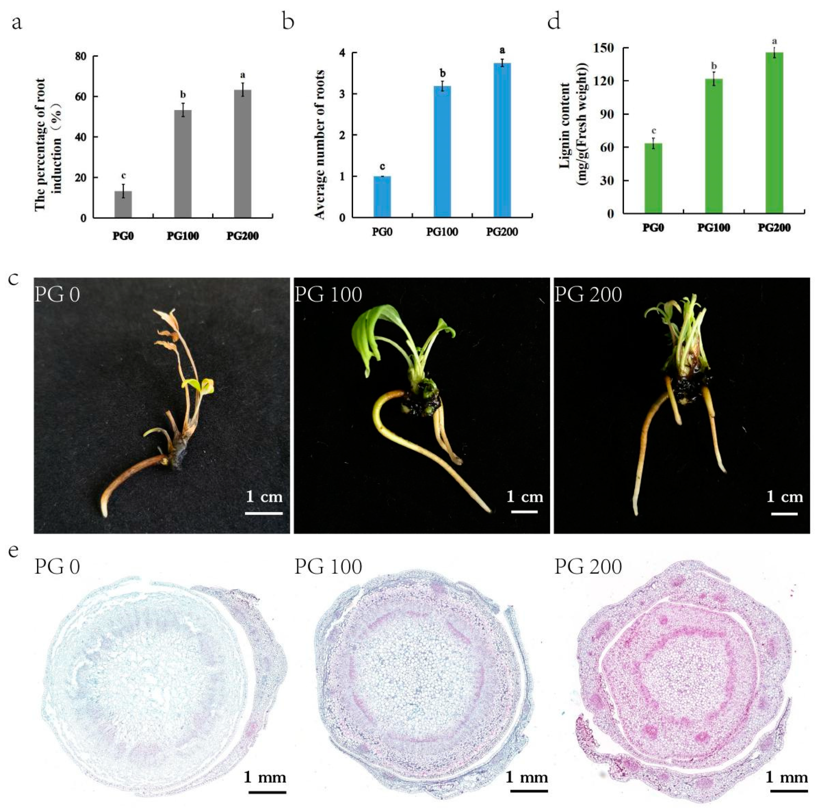 Plants 13 03200 g002
