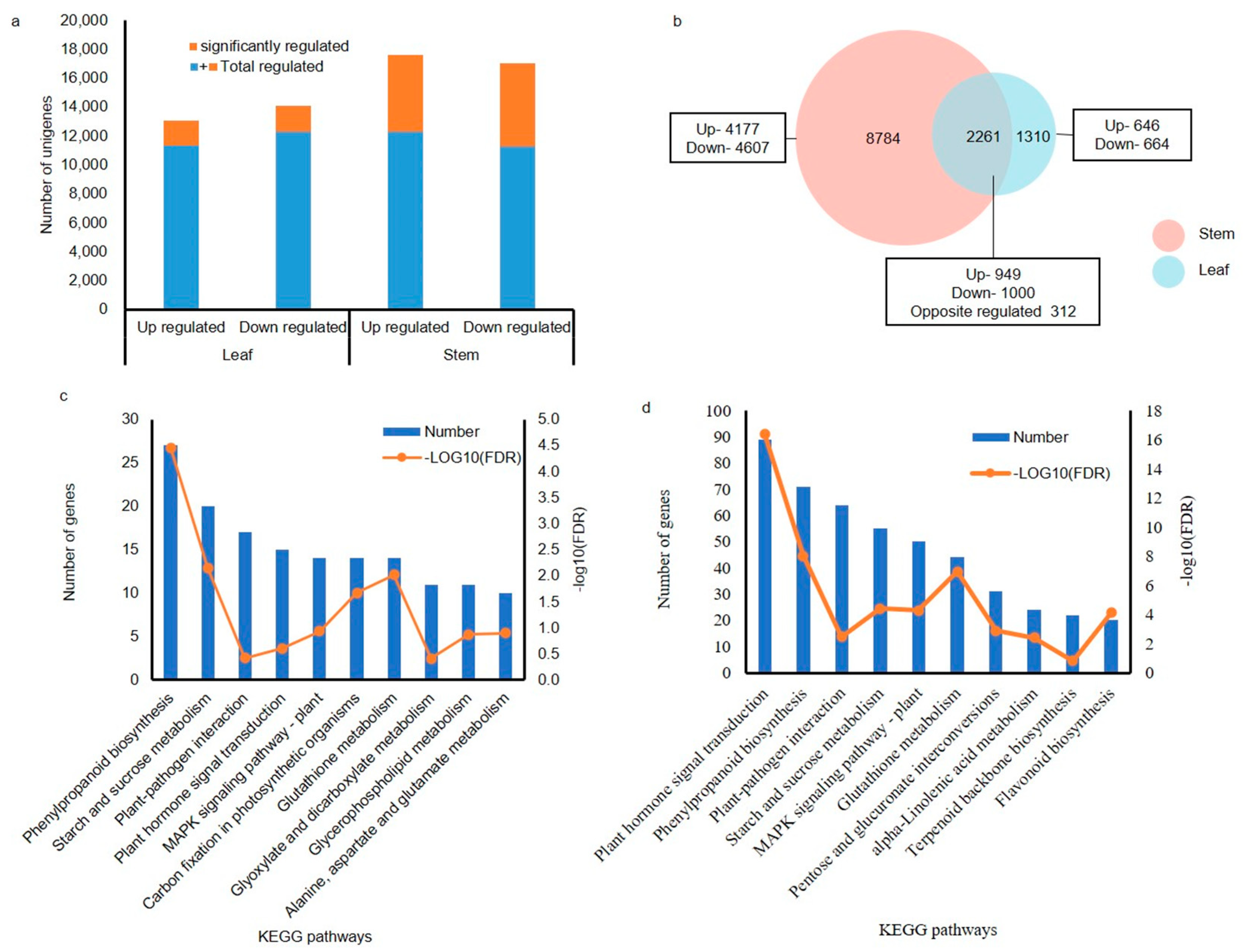 Plants 13 03200 g004