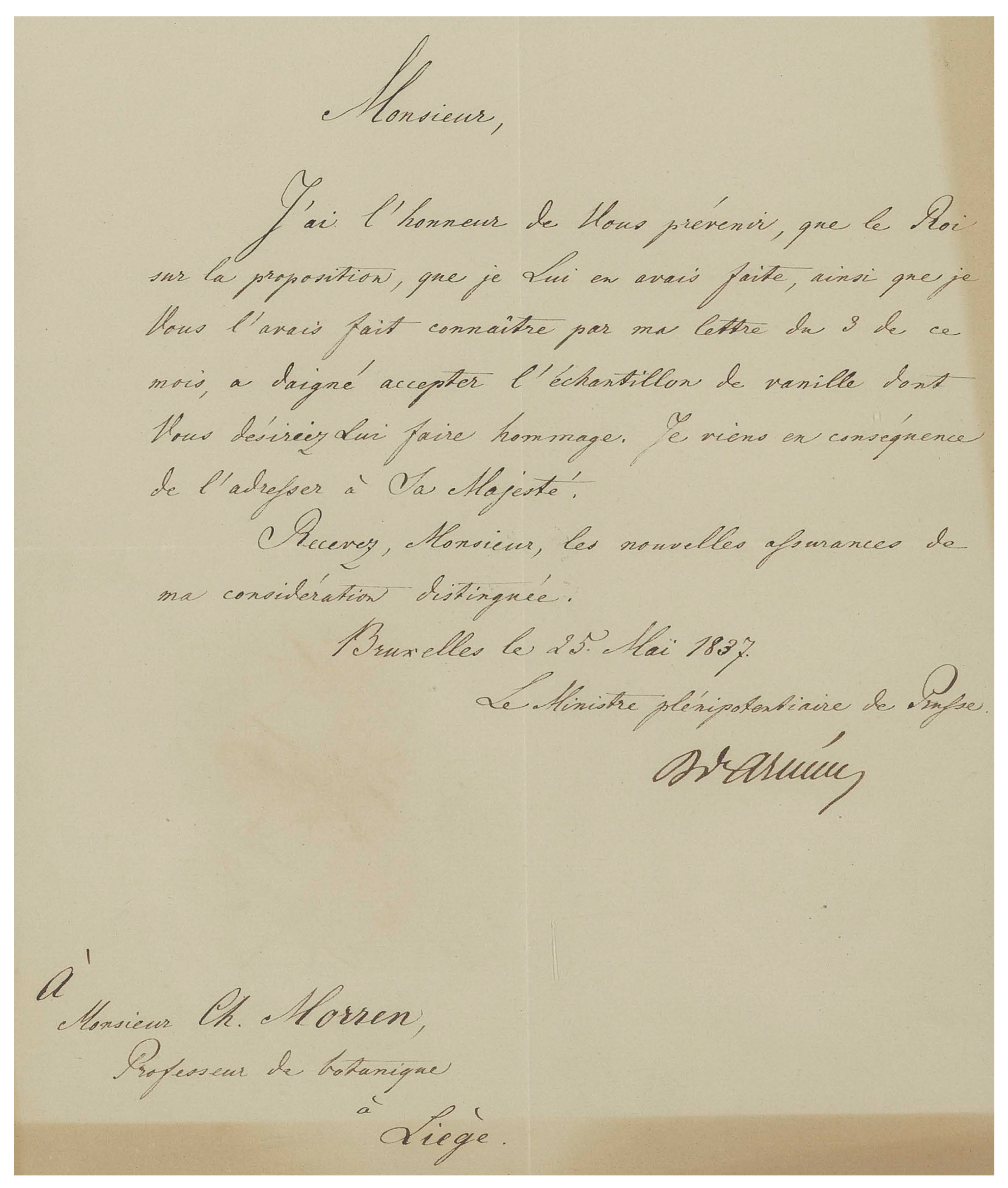 Plants 13 03203 g004