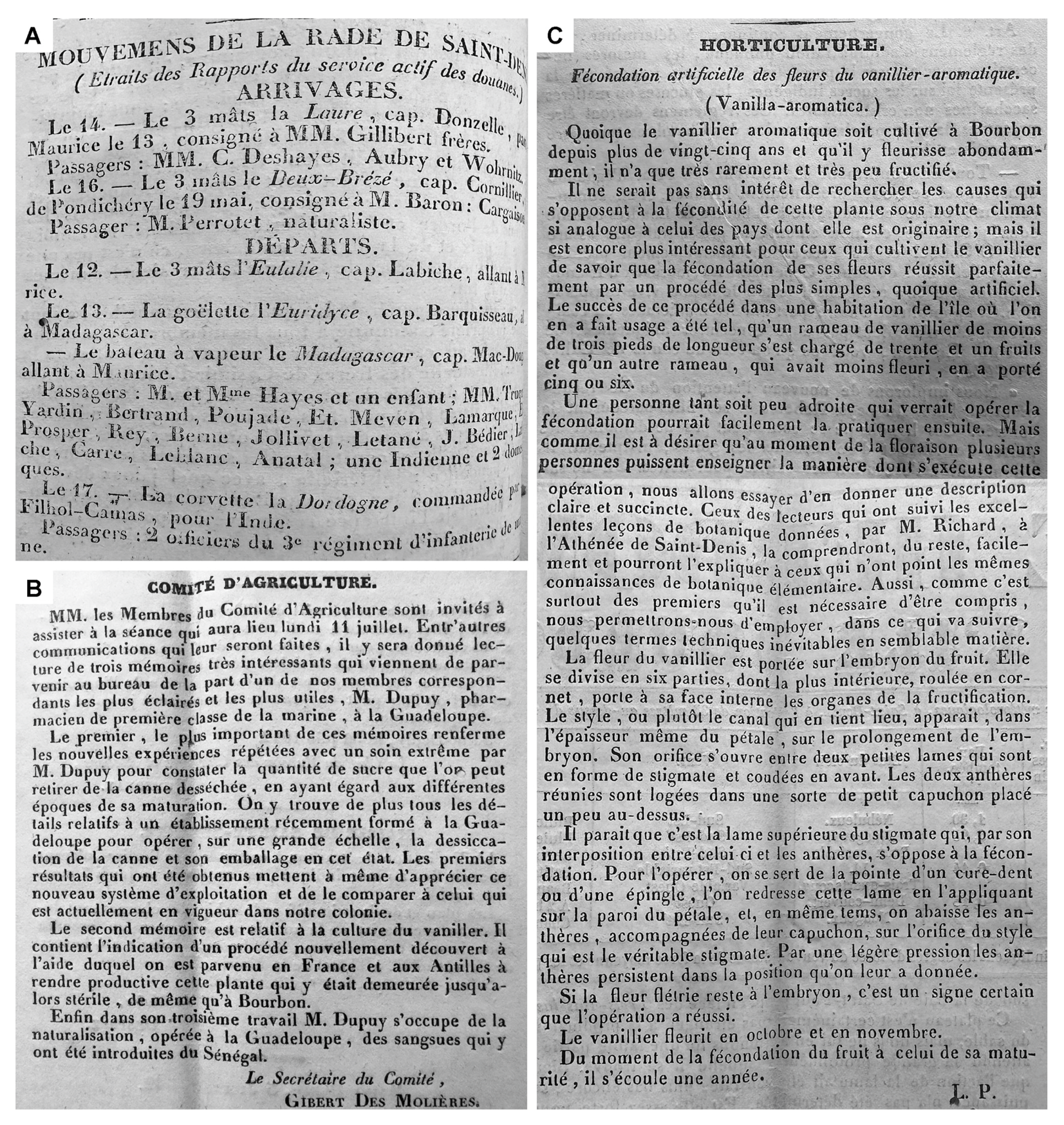 Plants 13 03203 g005