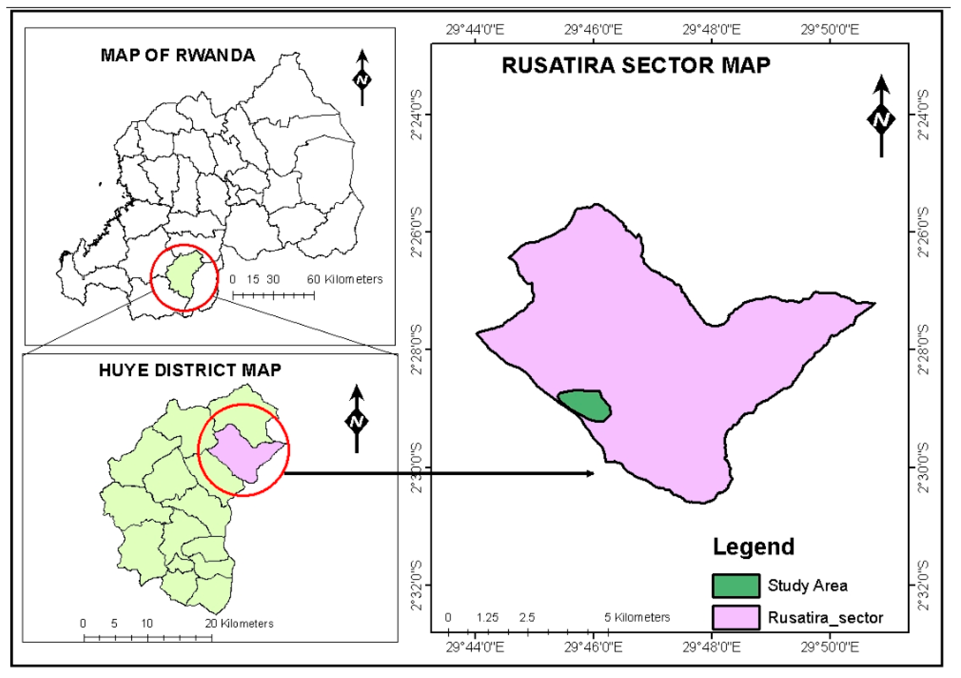 Plants 13 03204 g007
