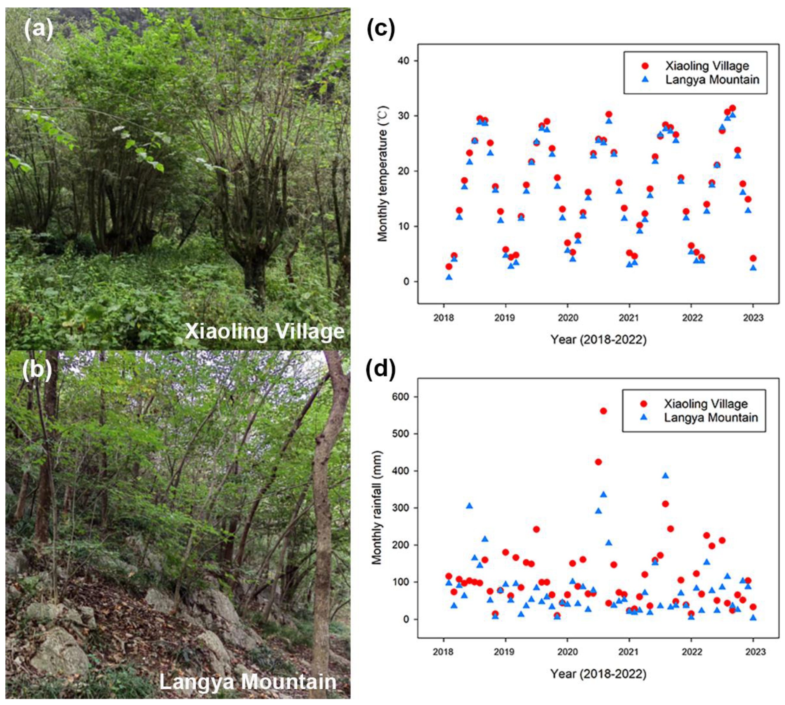 Plants 13 03205 g001