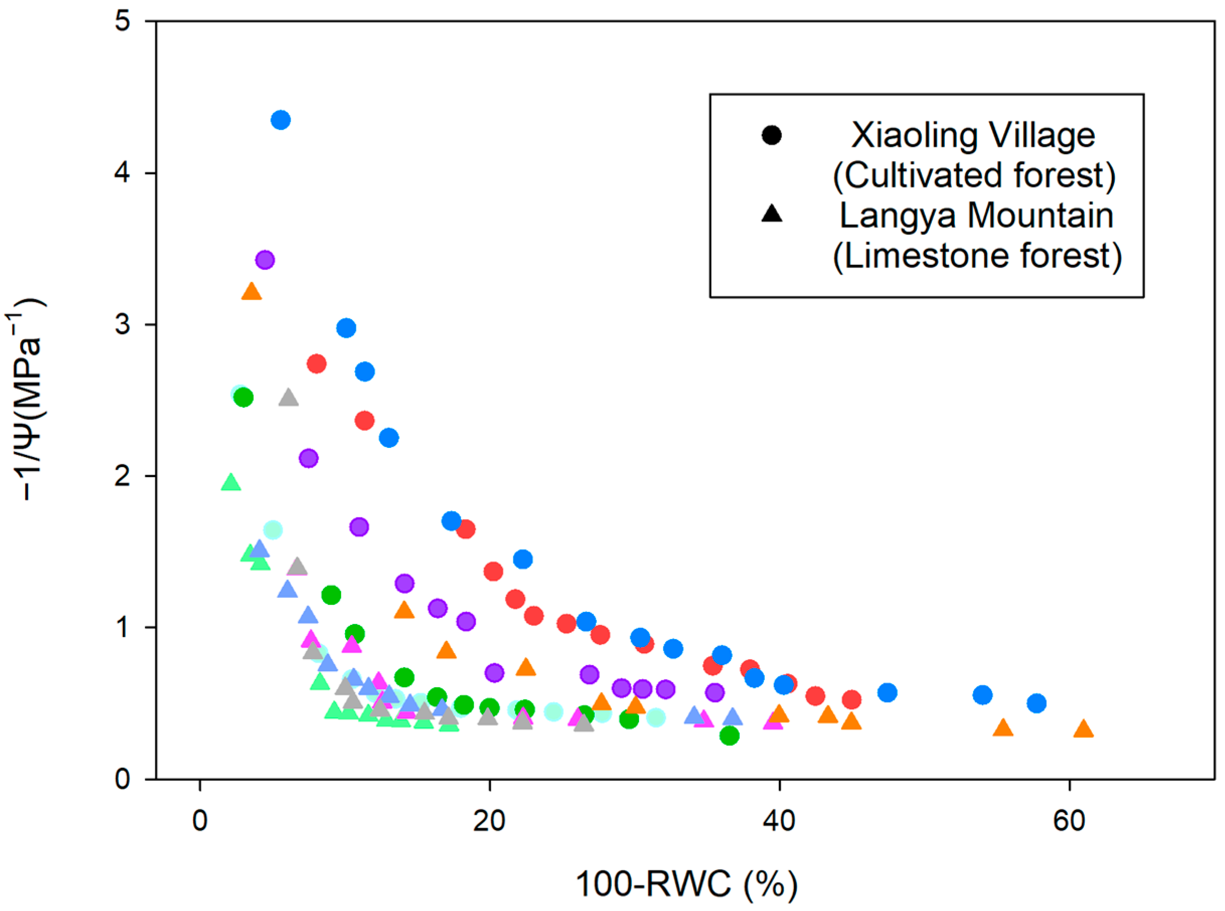 Plants 13 03205 g002