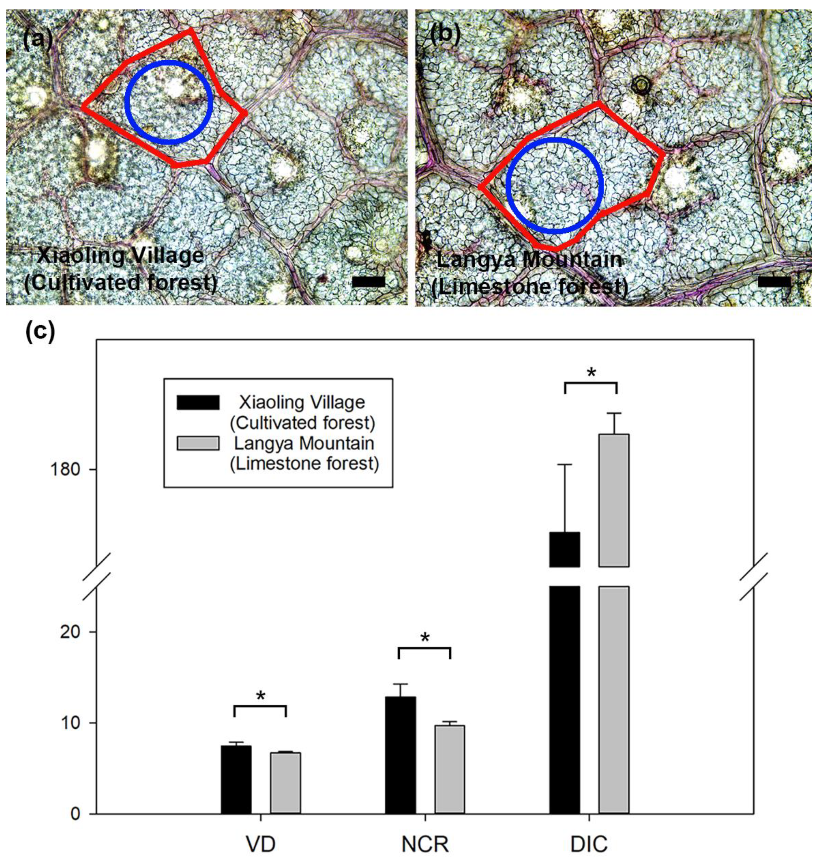 Plants 13 03205 g004