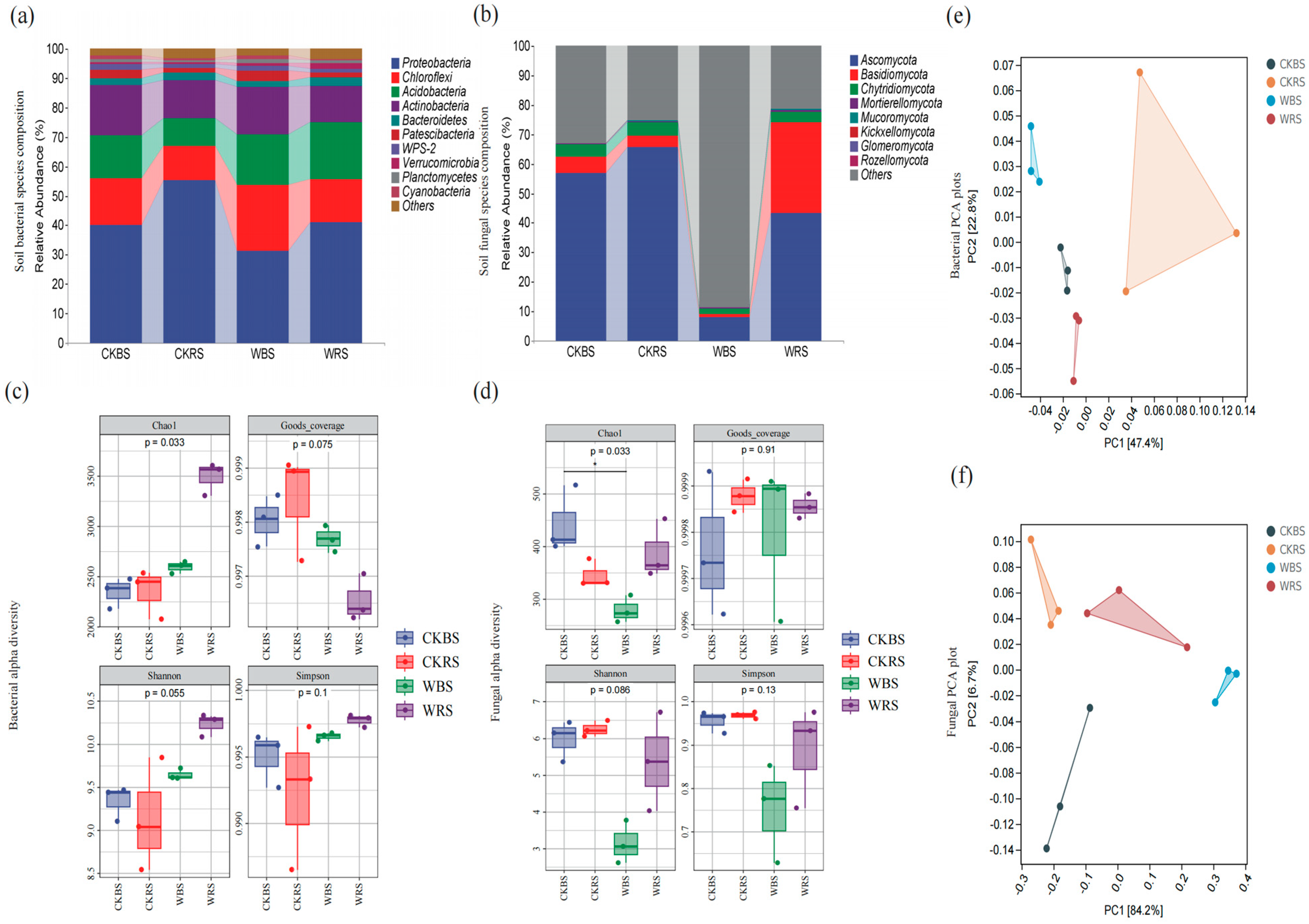 Plants 13 03209 g002