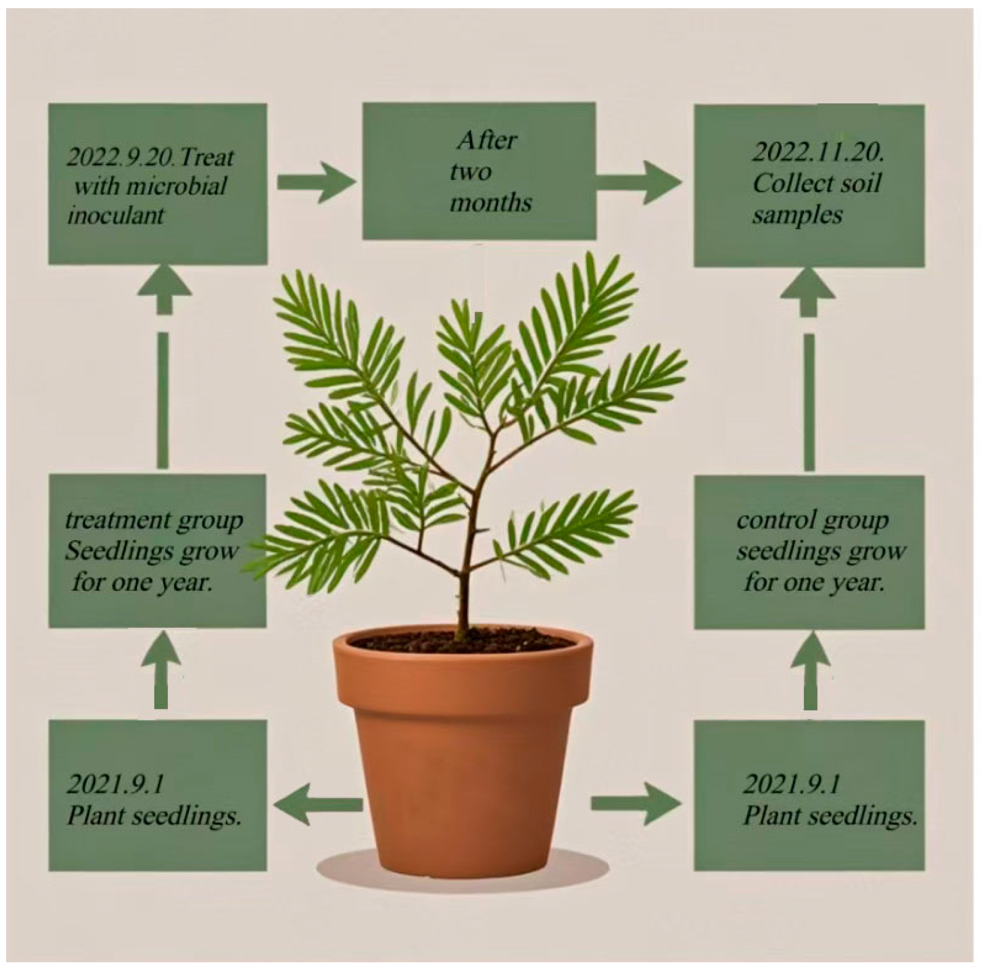 Plants 13 03209 g007