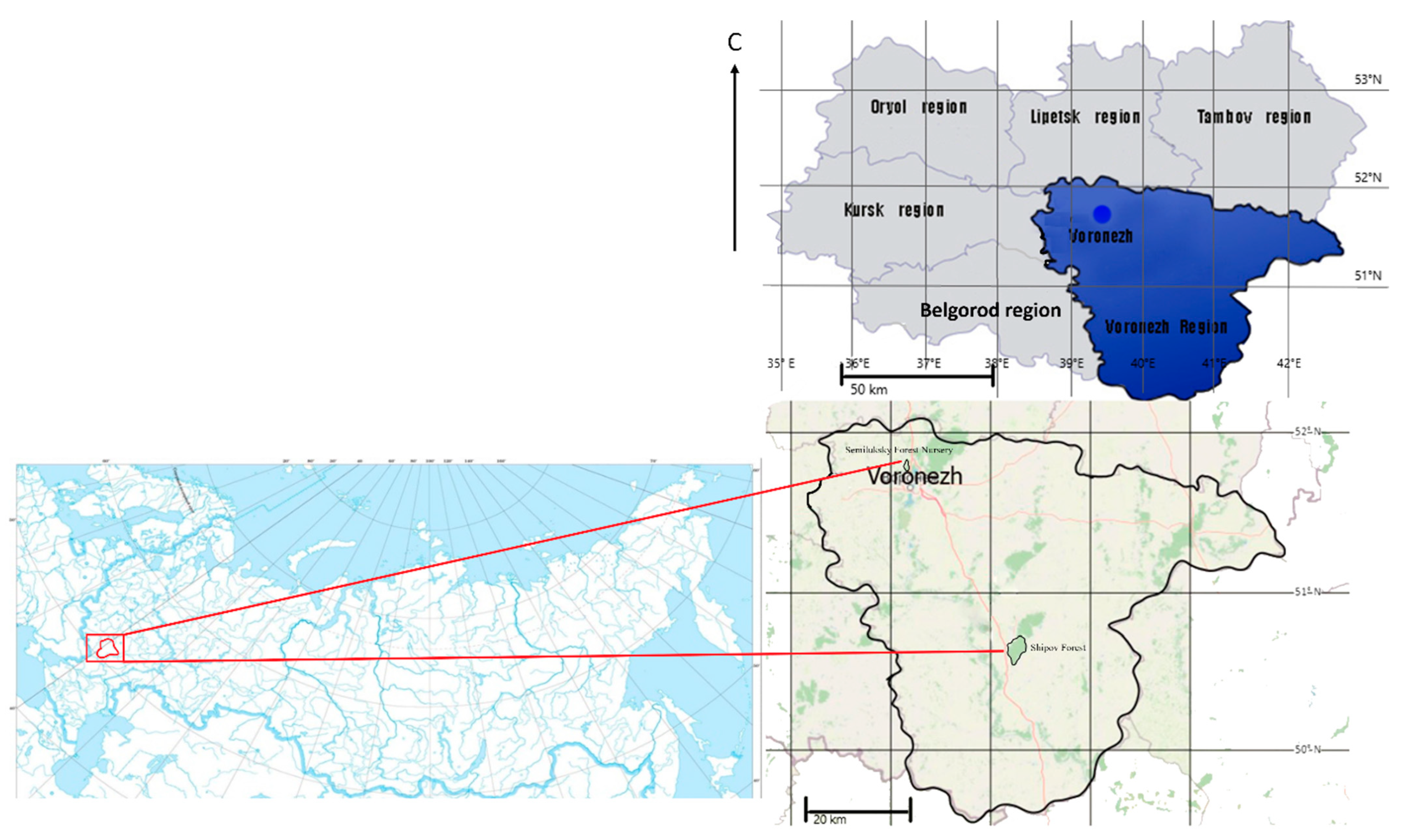 Plants 13 03213 g010