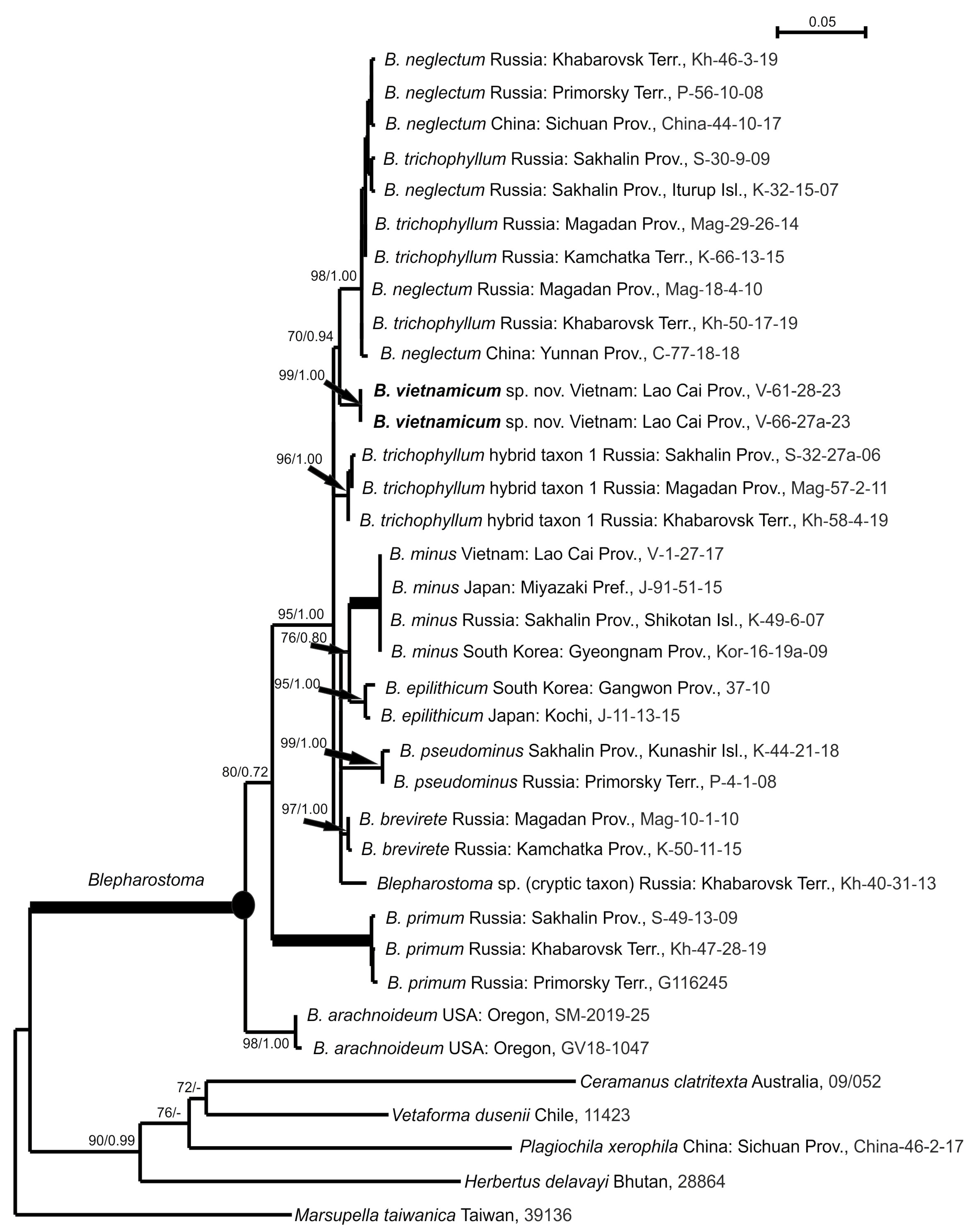Plants 13 03215 g002