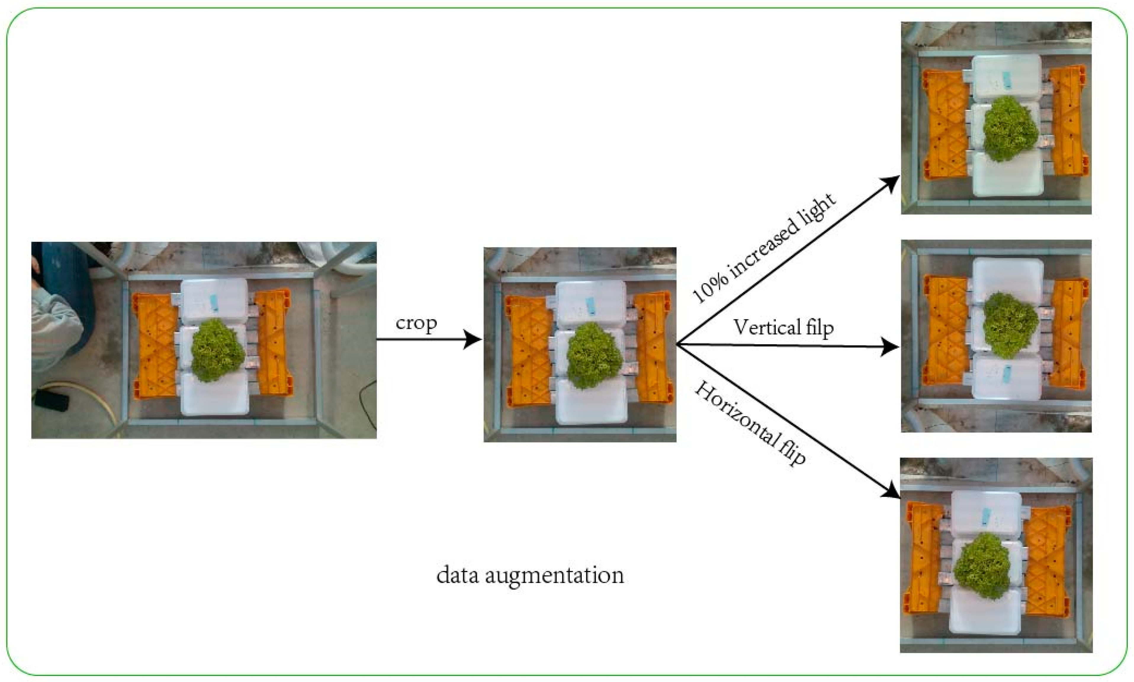 Plants 13 03217 g003