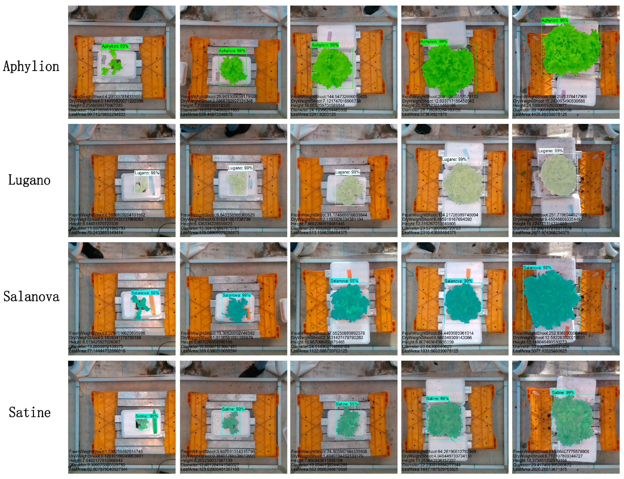 Plants 13 03217 g008