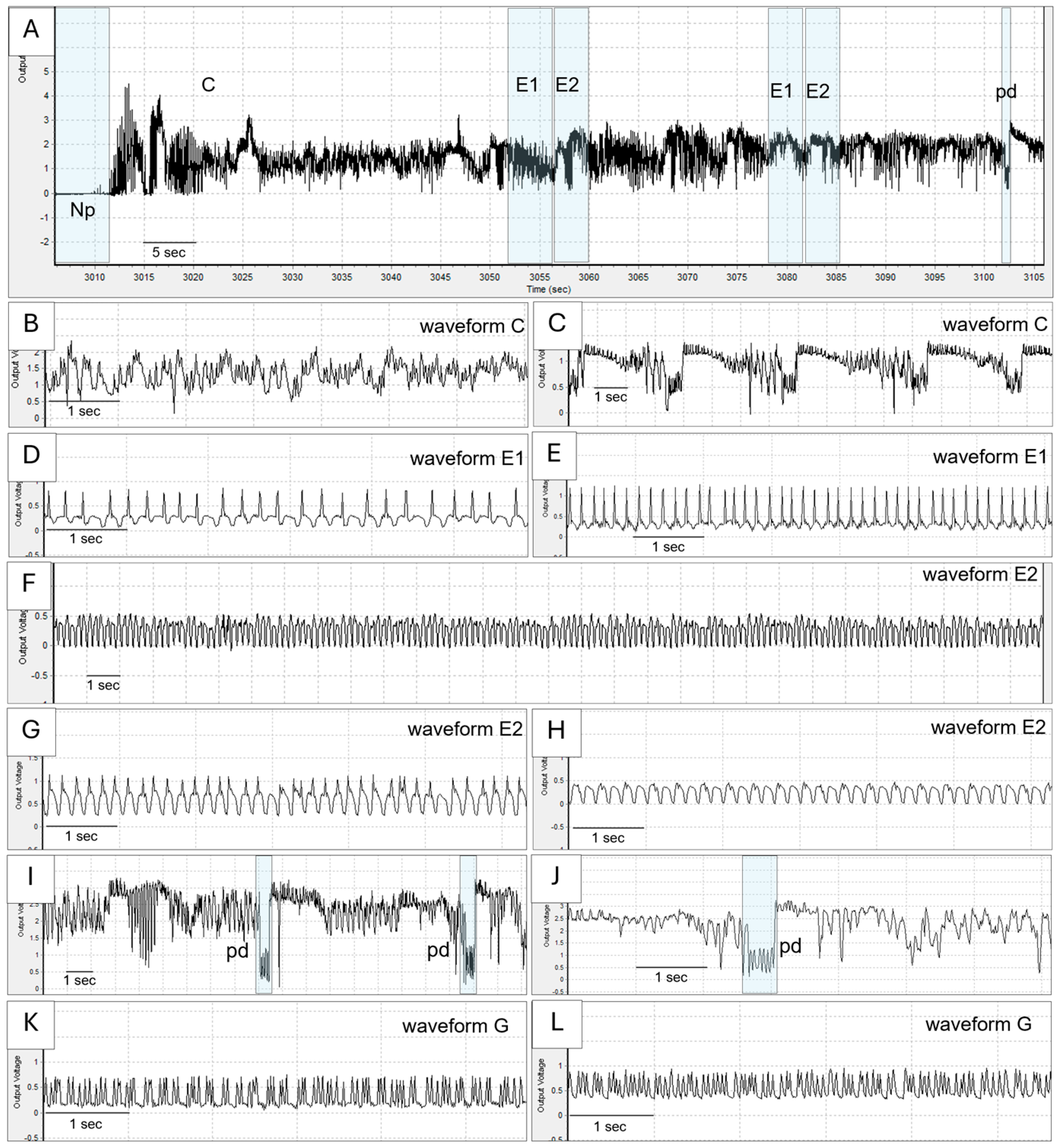 Plants 13 03218 g001