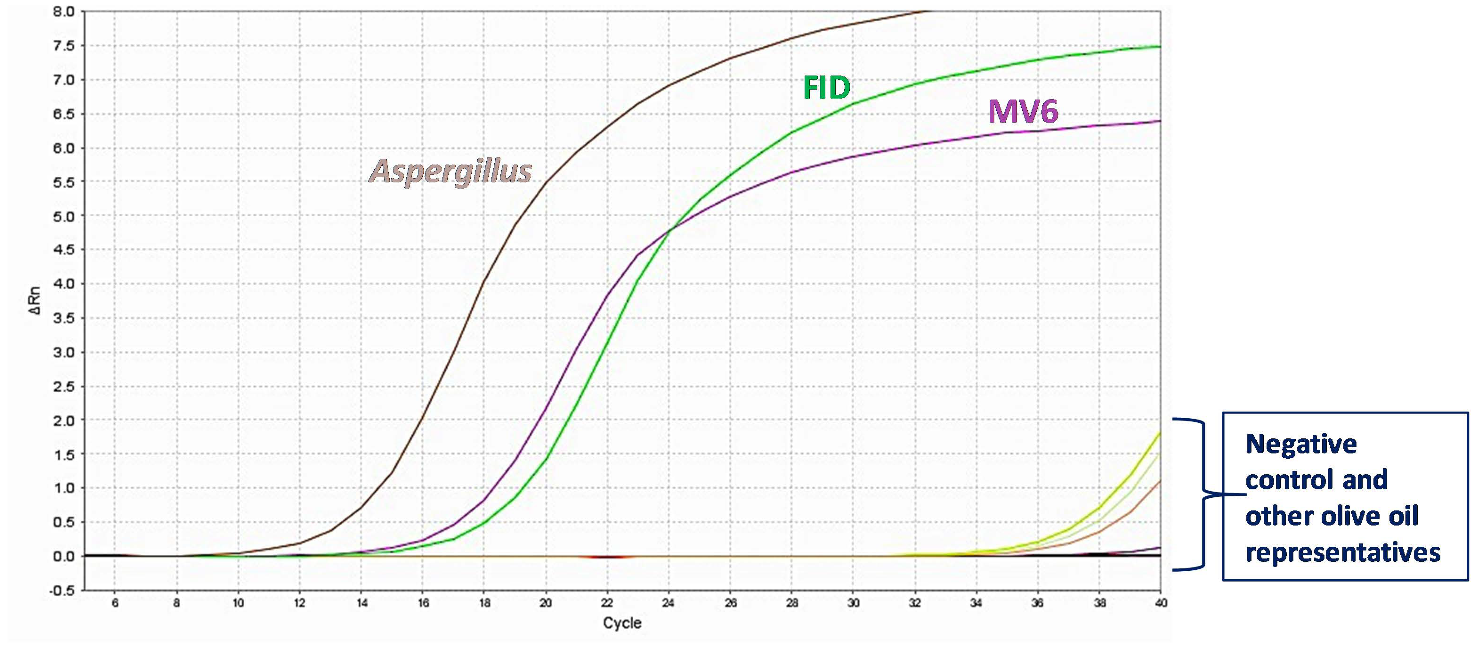 Plants 13 03220 g003