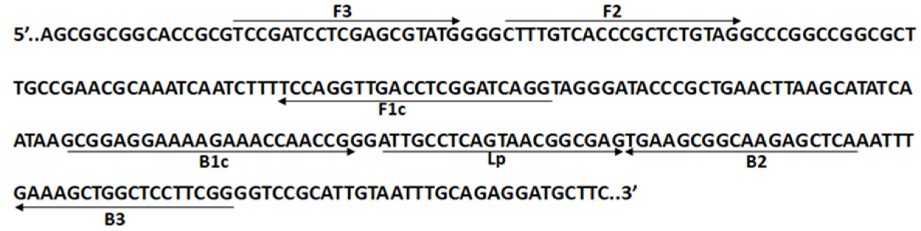 Plants 13 03220 g005