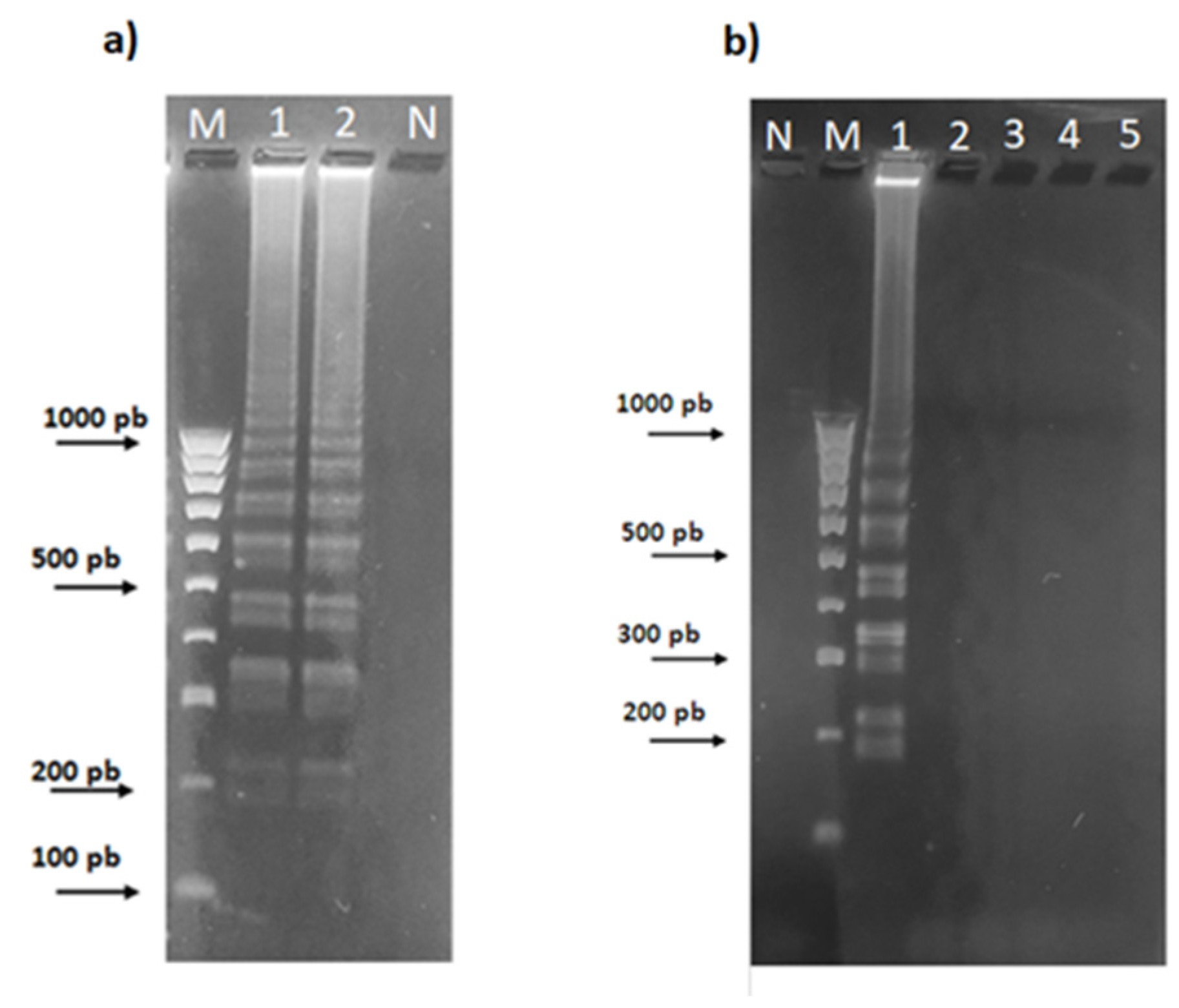 Plants 13 03220 g006