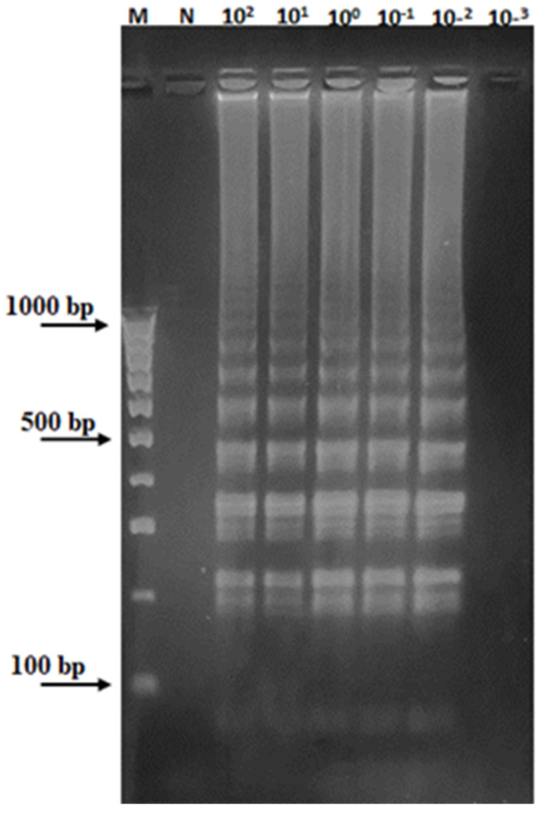 Plants 13 03220 g007