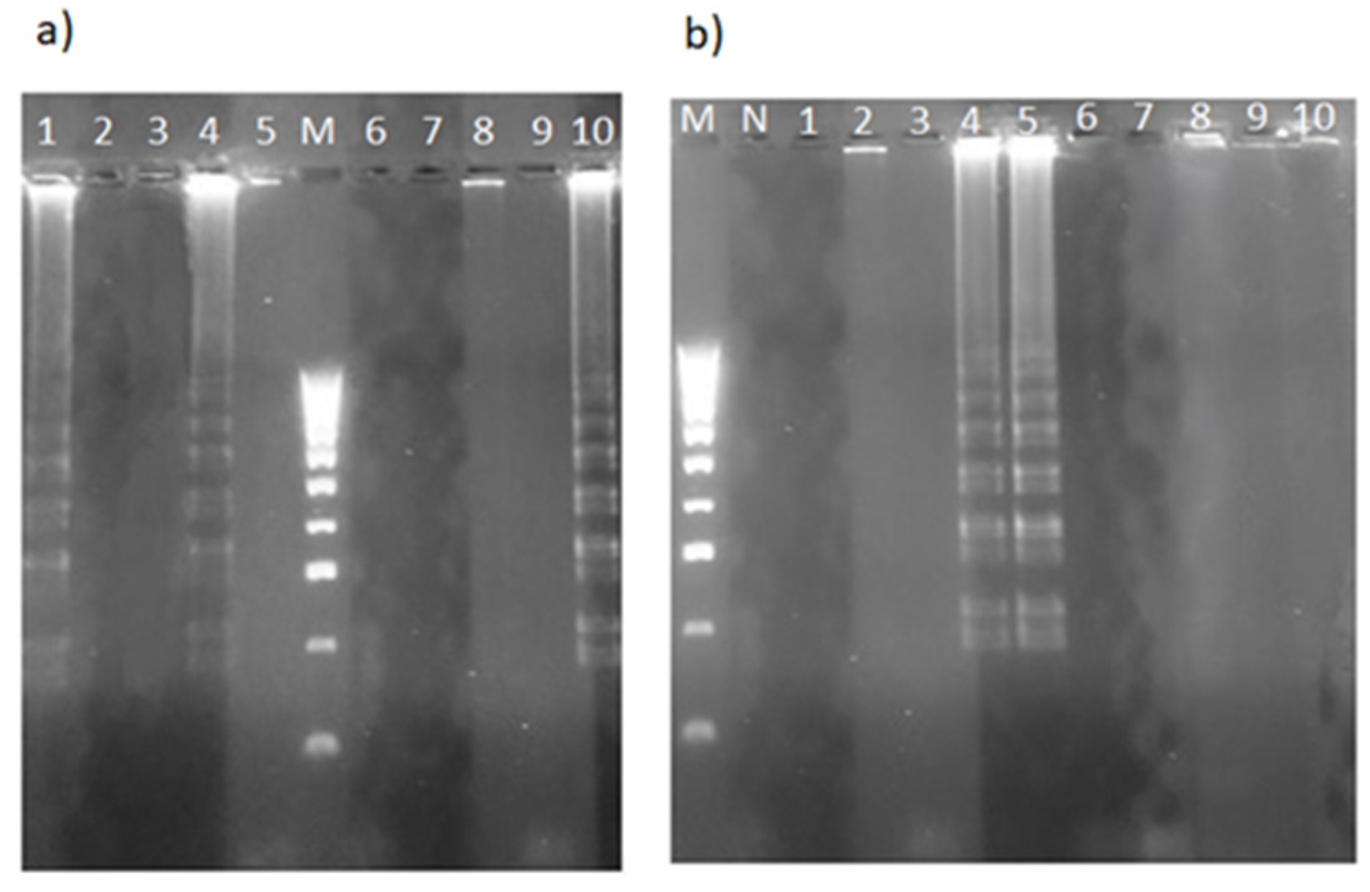 Plants 13 03220 g008