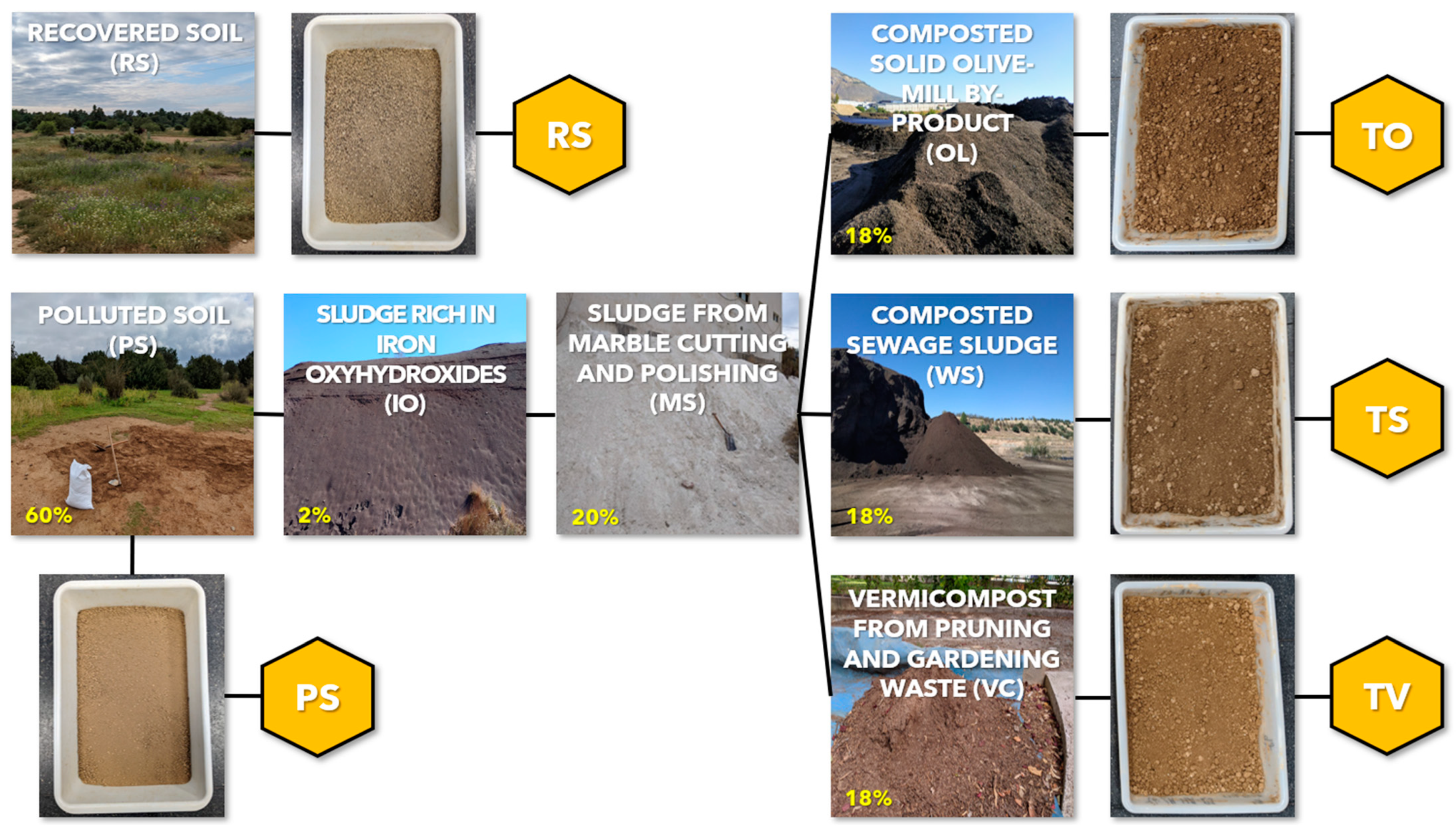 Plants 13 03222 g001