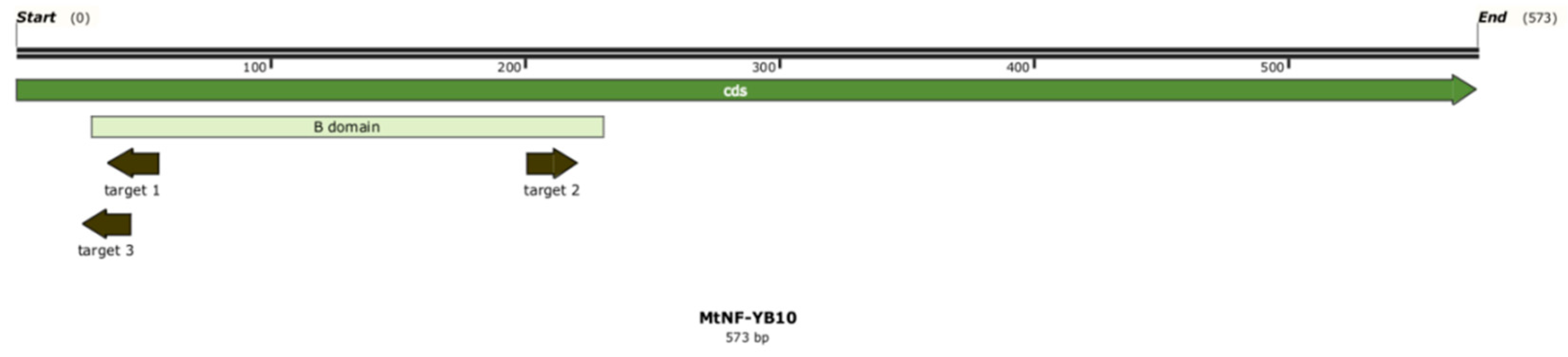 Plants 13 03226 g001