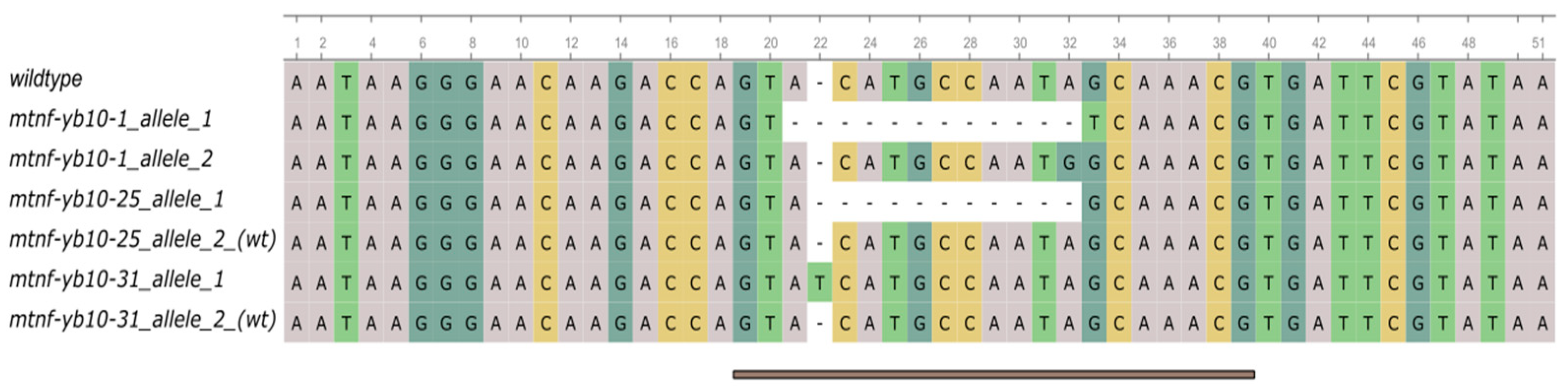 Plants 13 03226 g002
