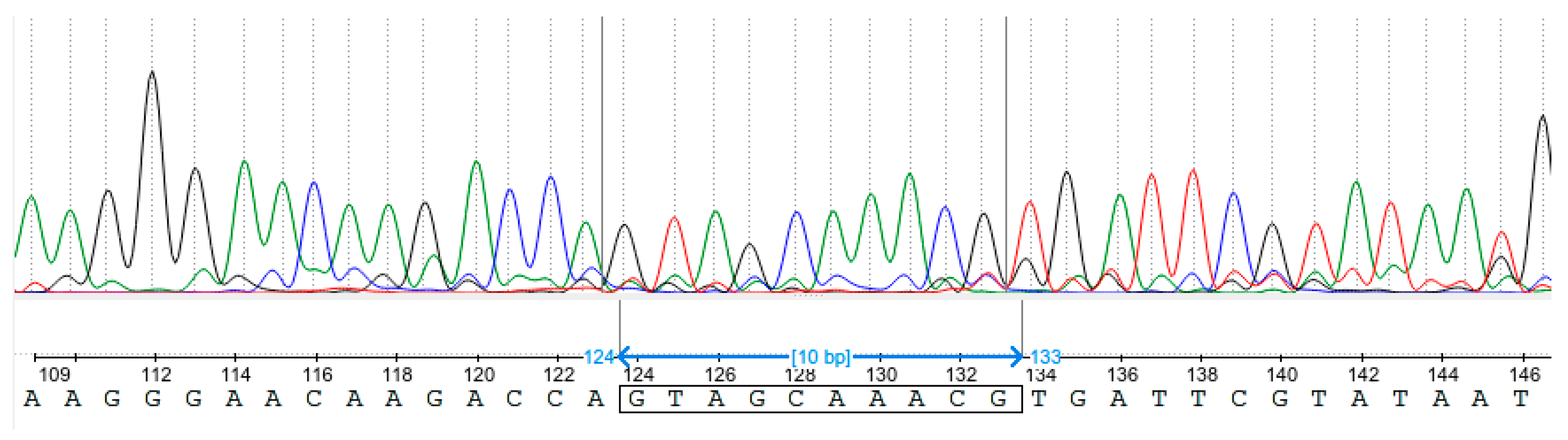 Plants 13 03226 g003