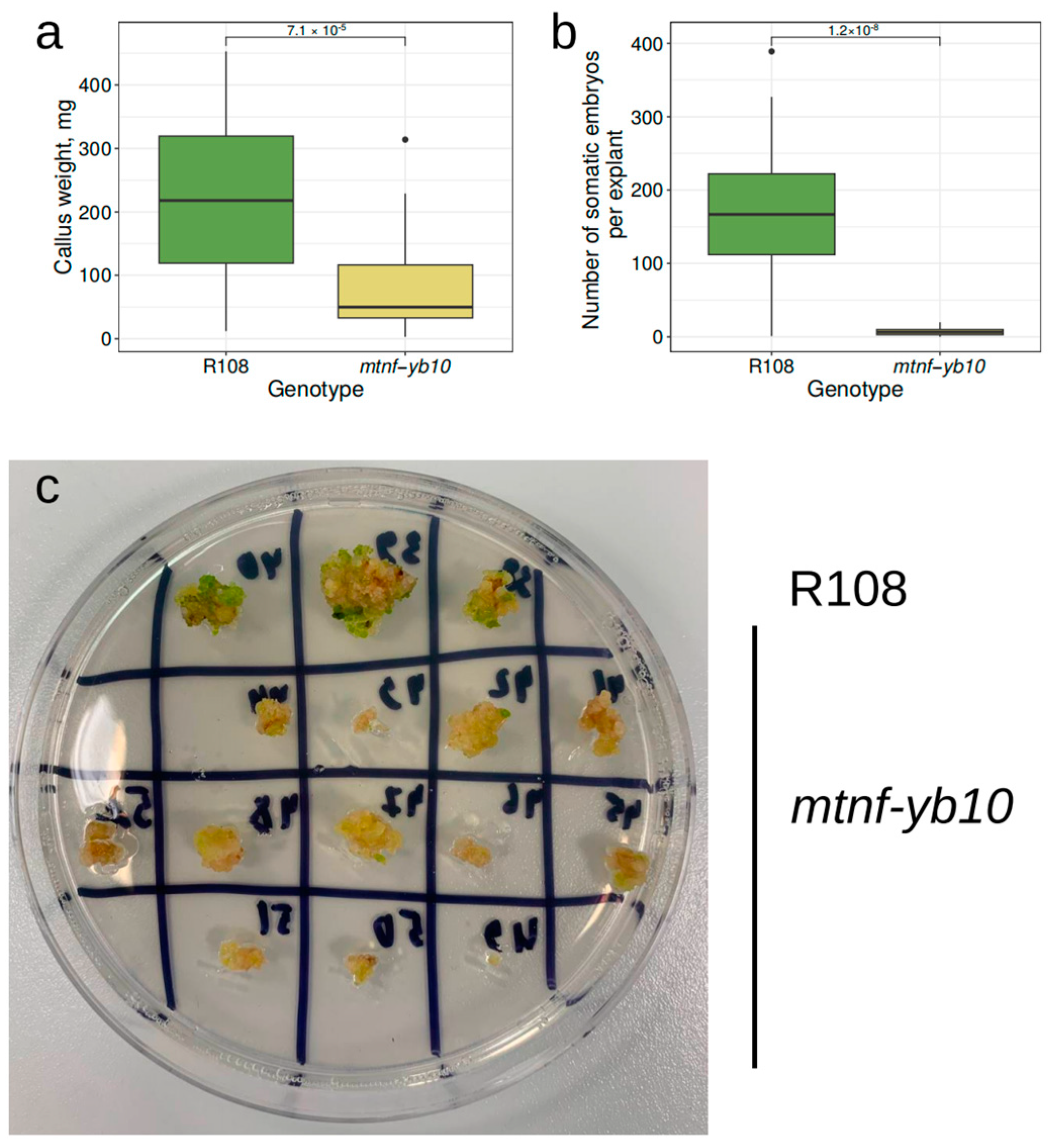 Plants 13 03226 g006