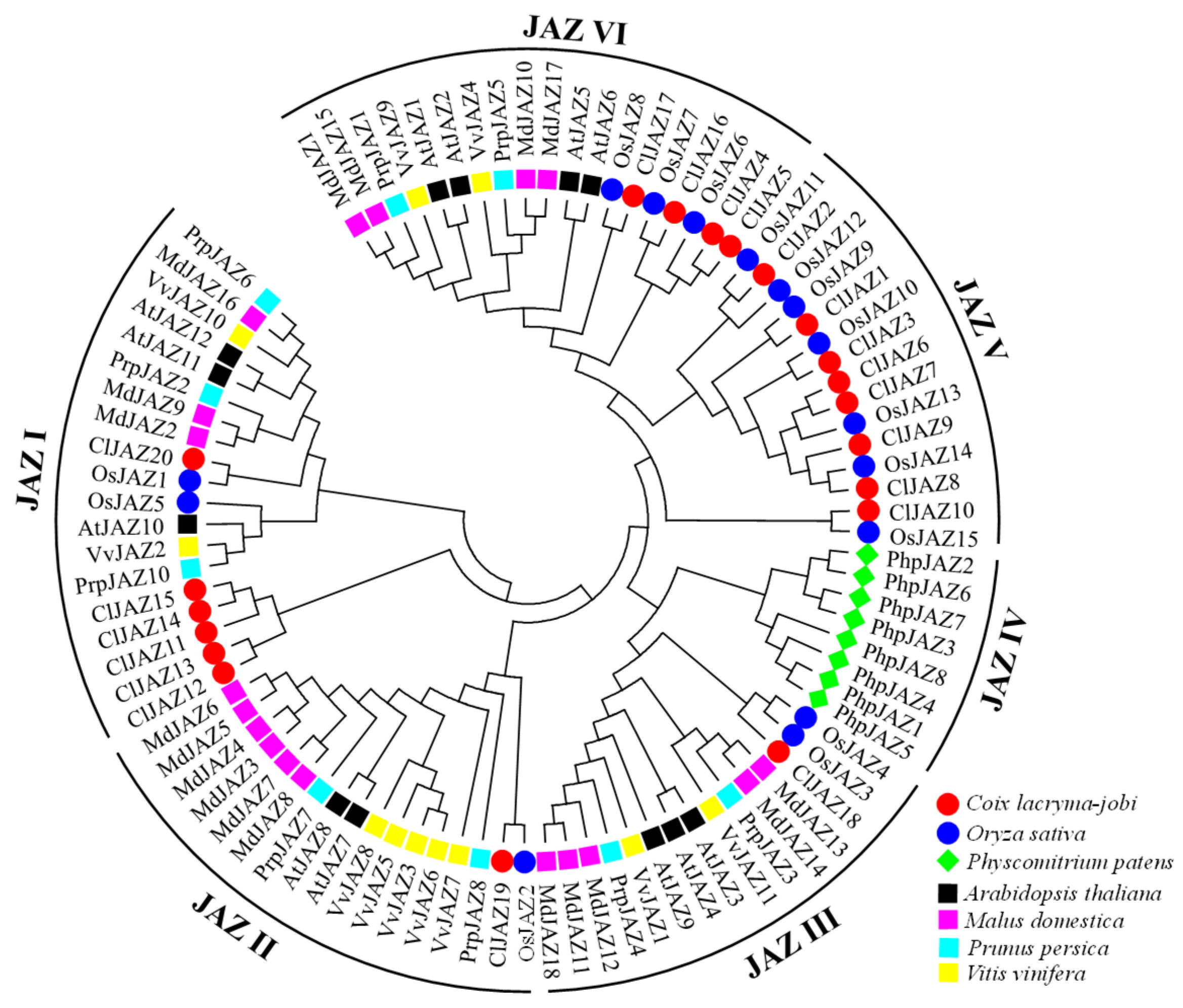 Plants 13 03230 g001