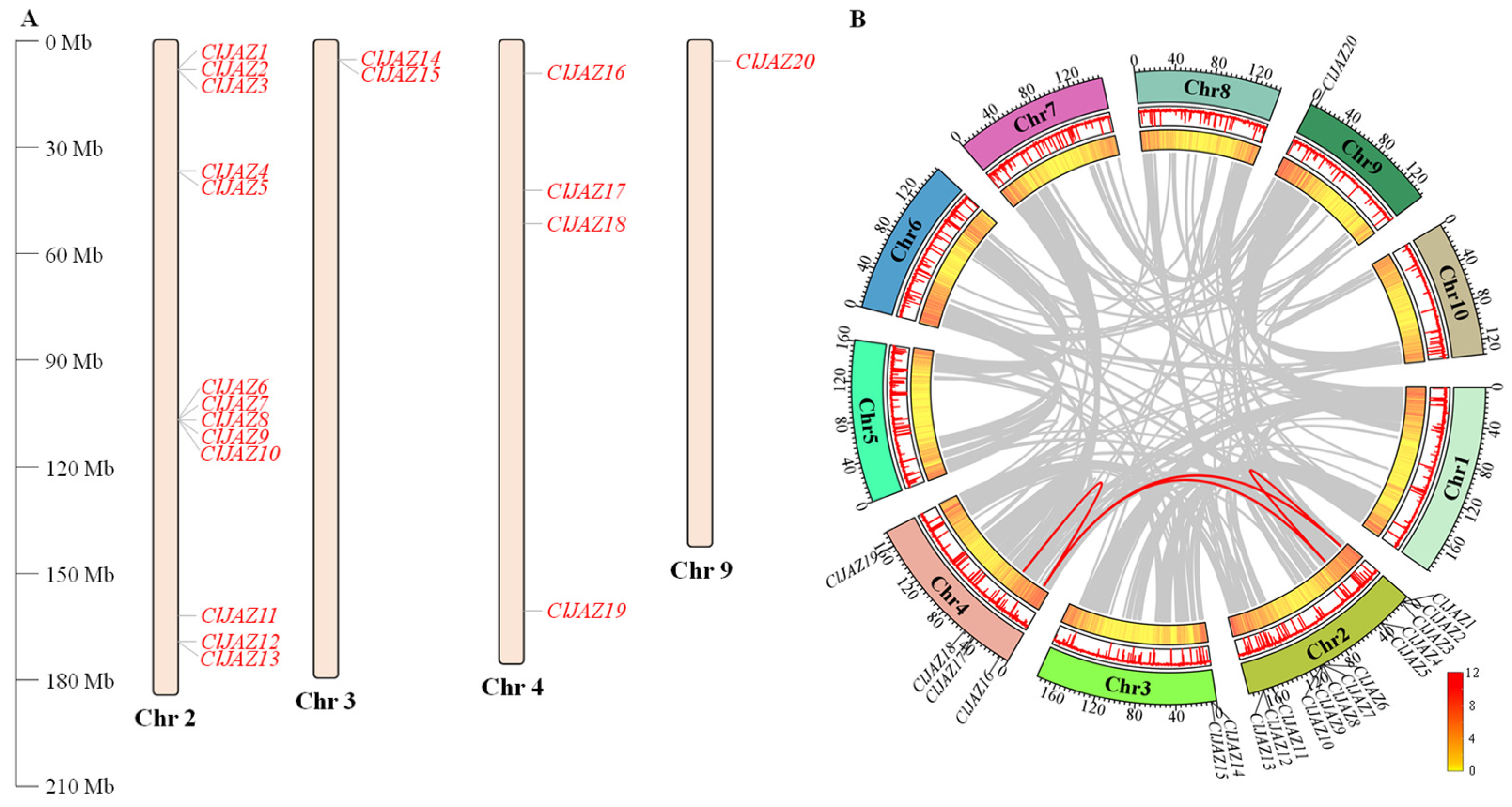 Plants 13 03230 g002
