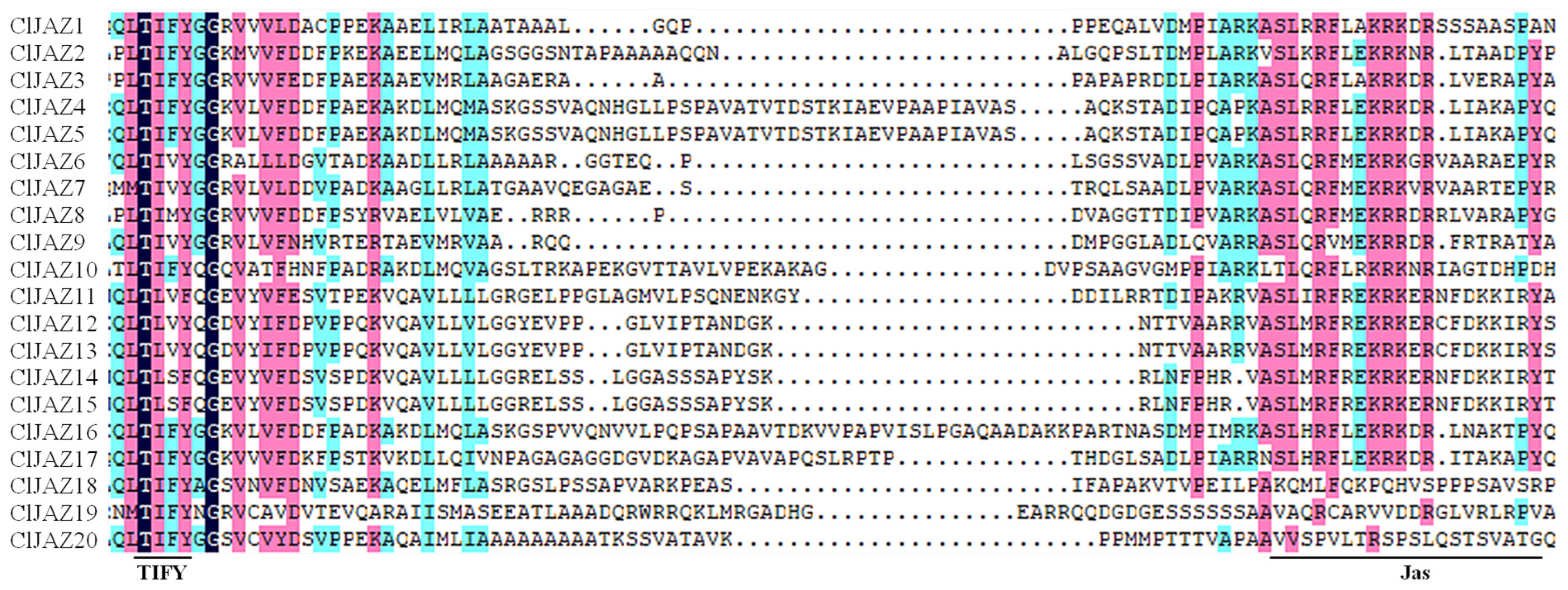 Plants 13 03230 g004