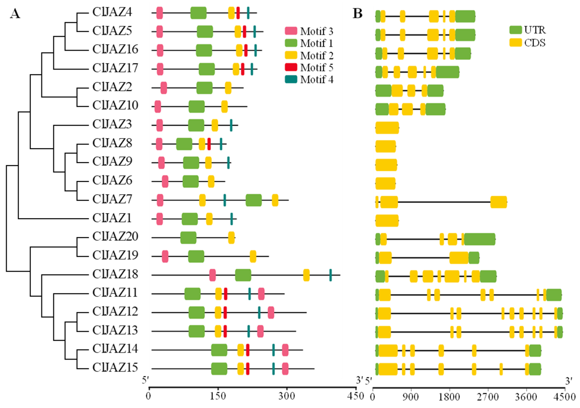 Plants 13 03230 g005