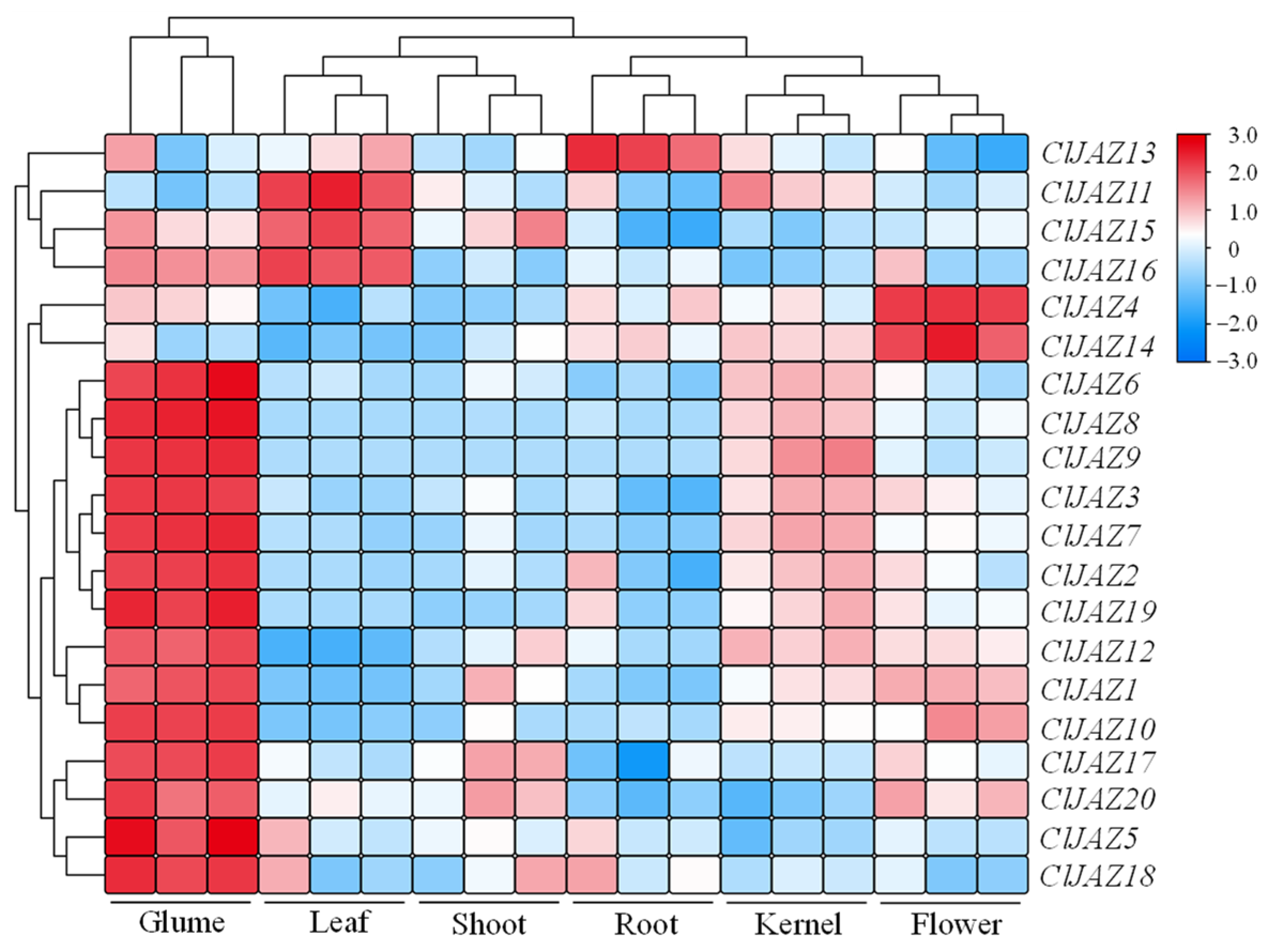 Plants 13 03230 g007