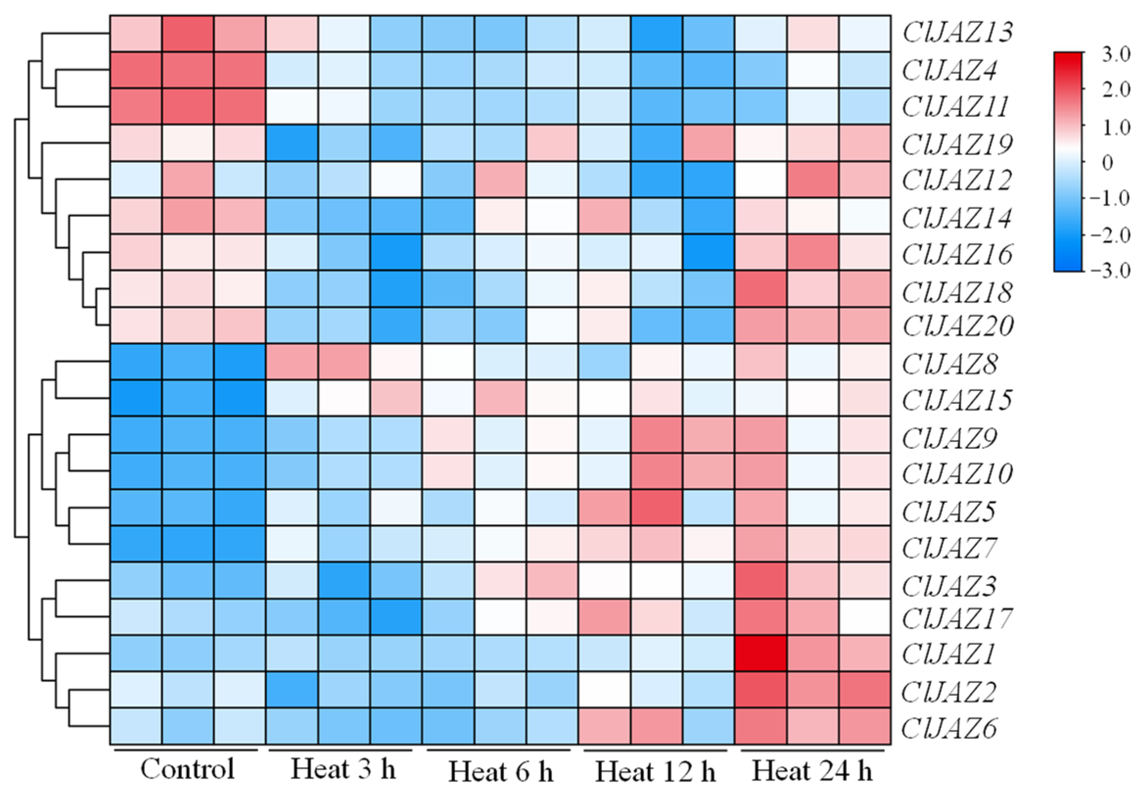 Plants 13 03230 g010