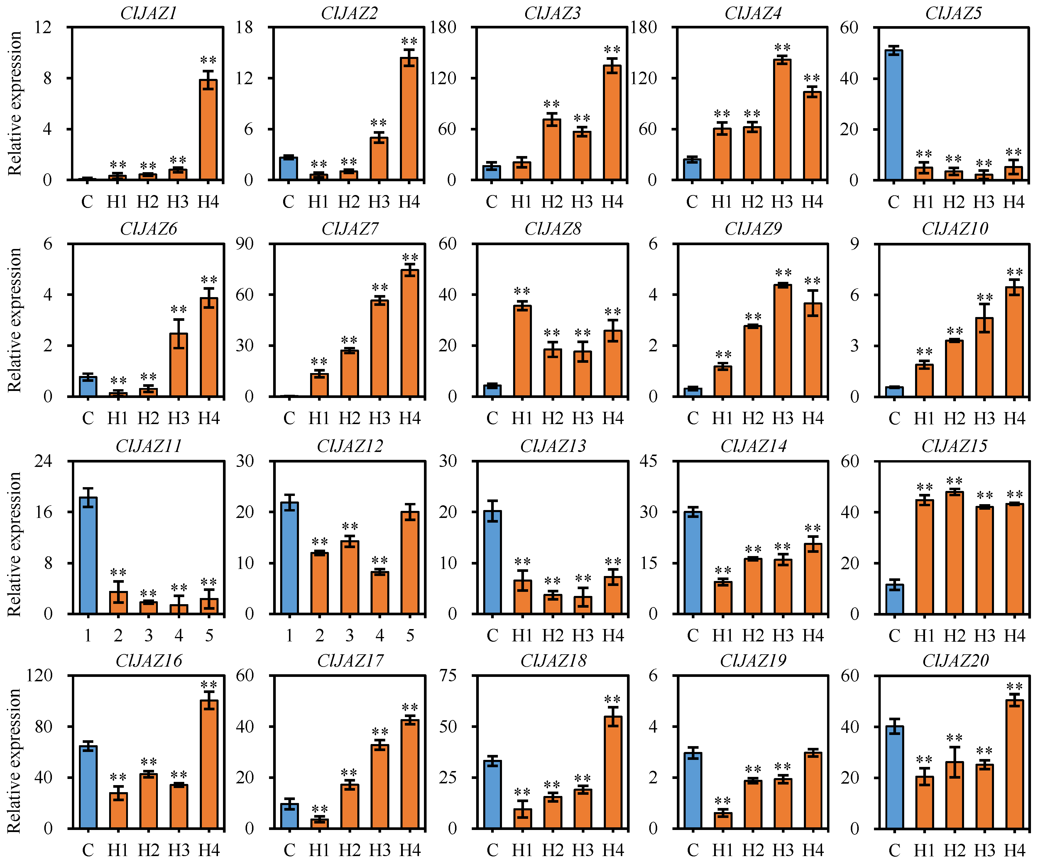 Plants 13 03230 g011