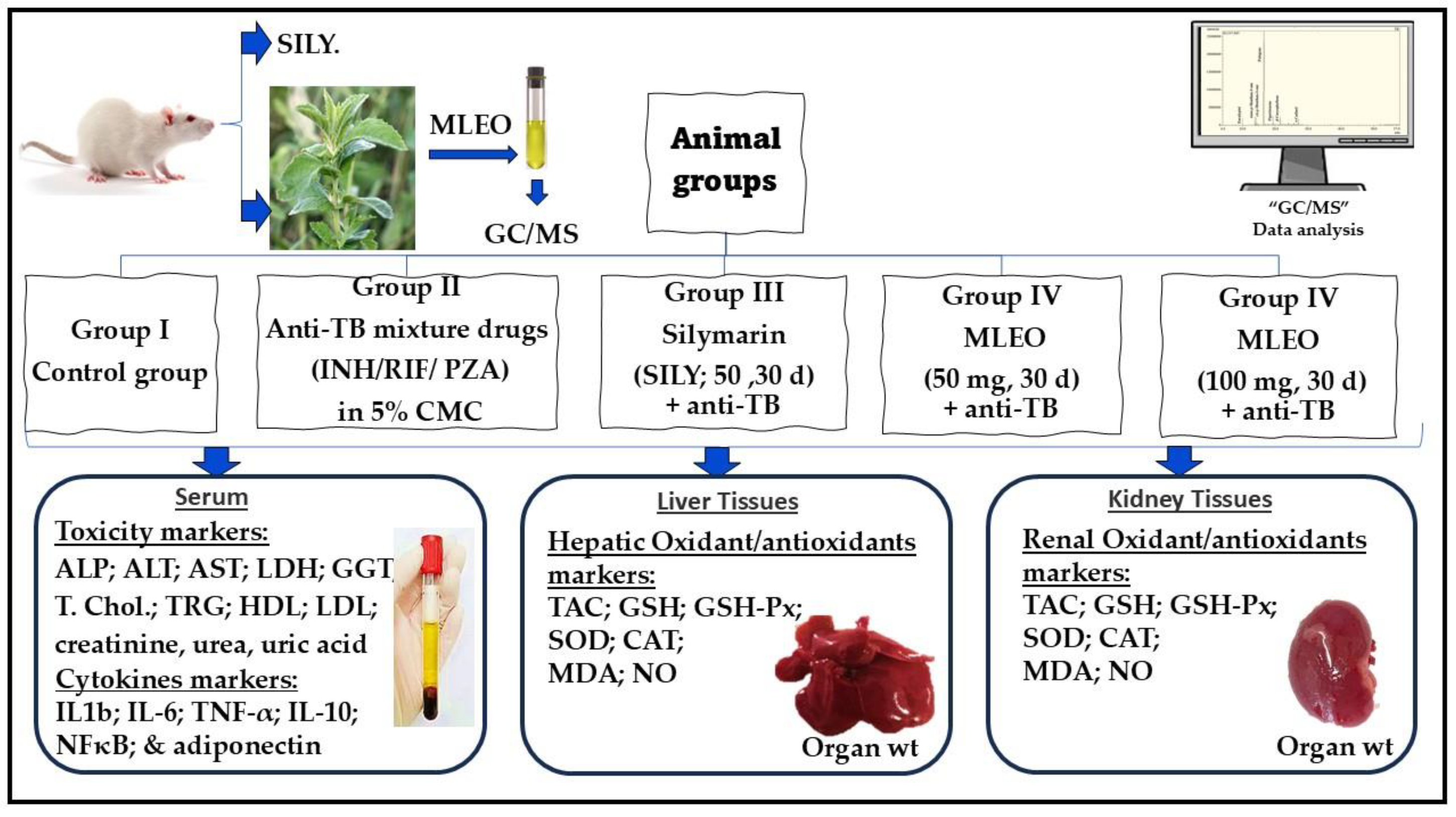 Plants 13 03231 g002