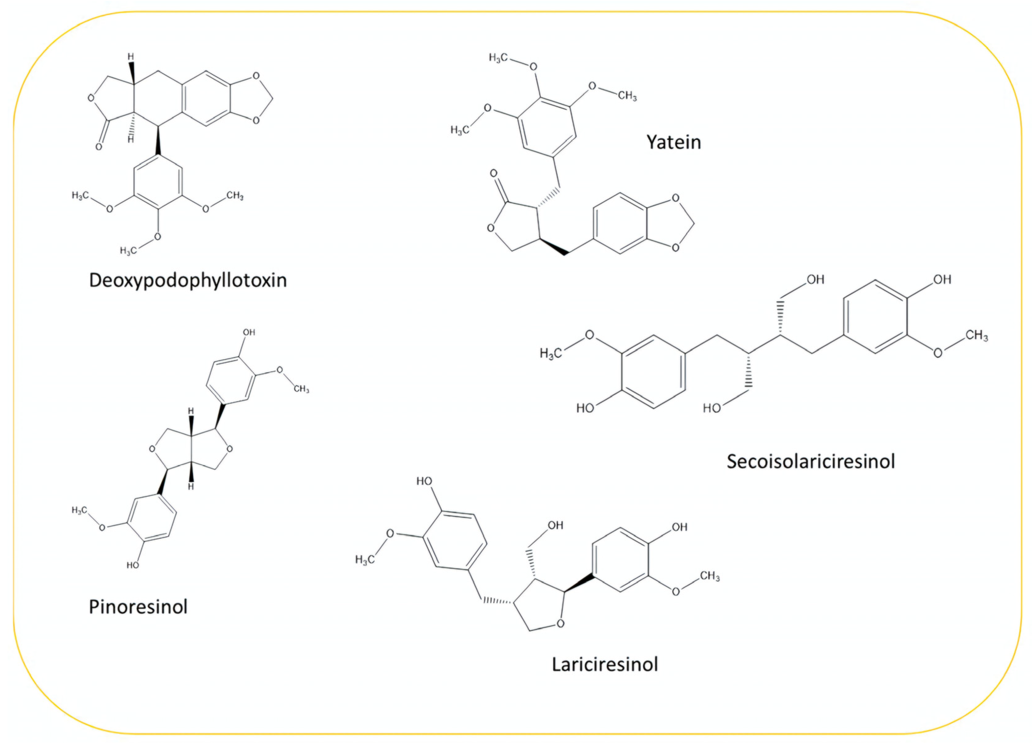 Plants 13 03233 g003