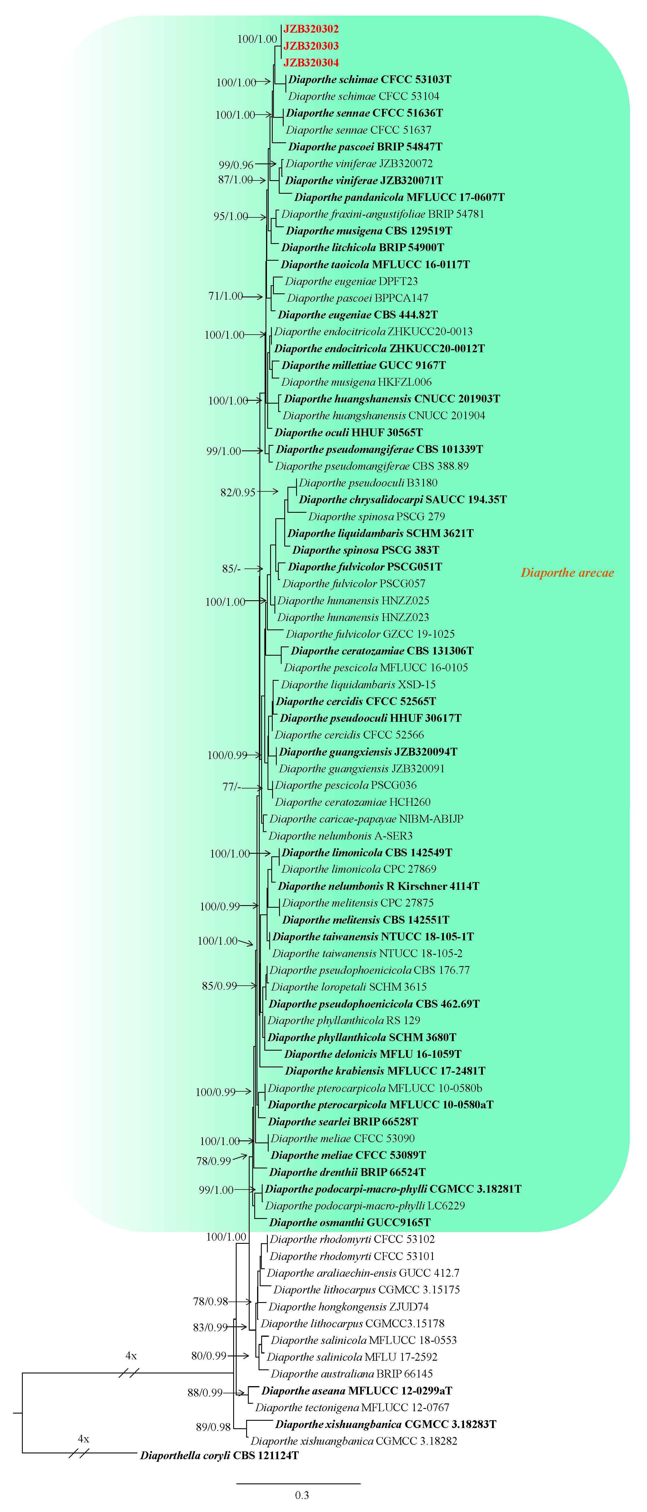 Plants 13 03238 g001