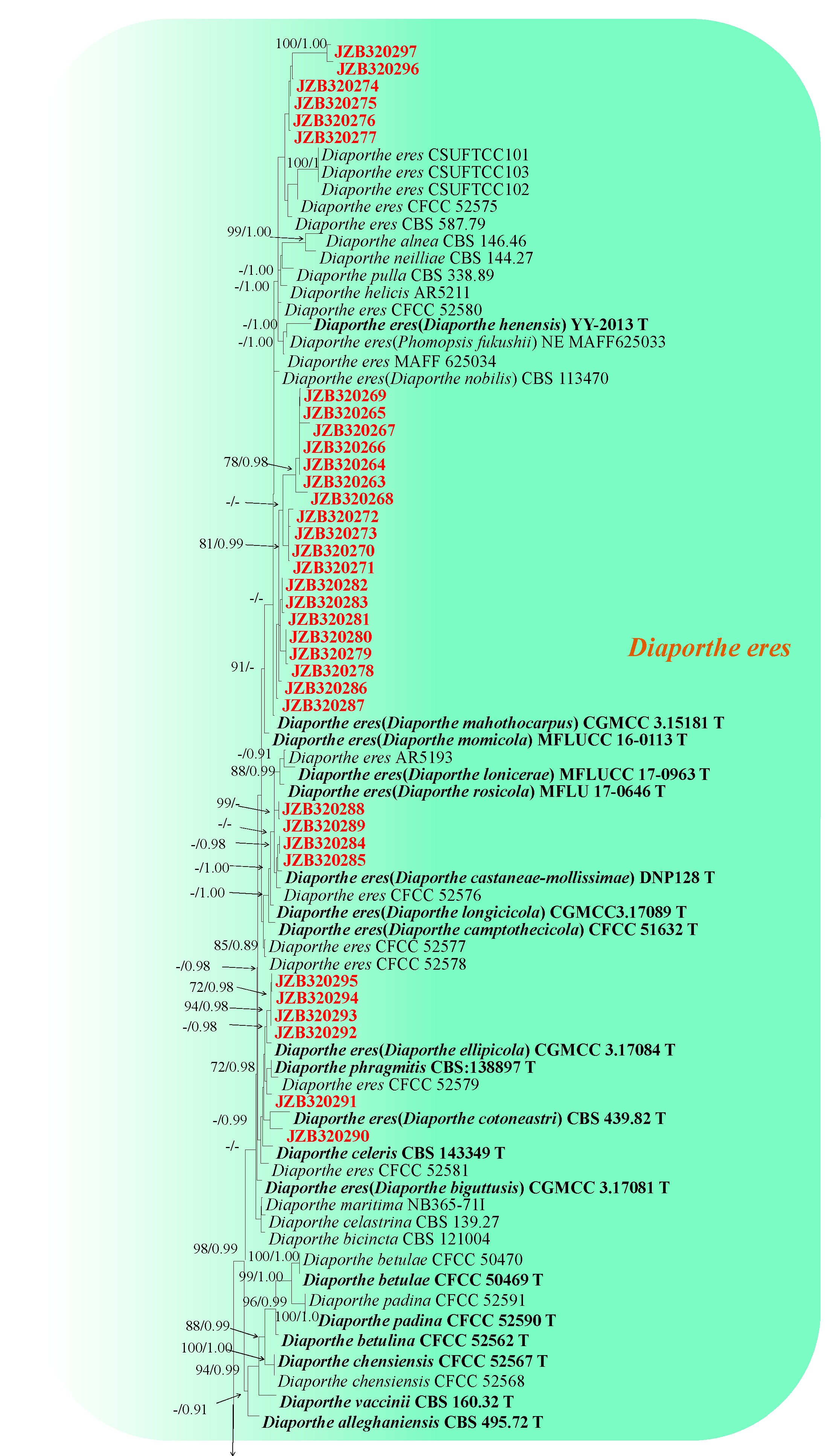 Plants 13 03238 g002a