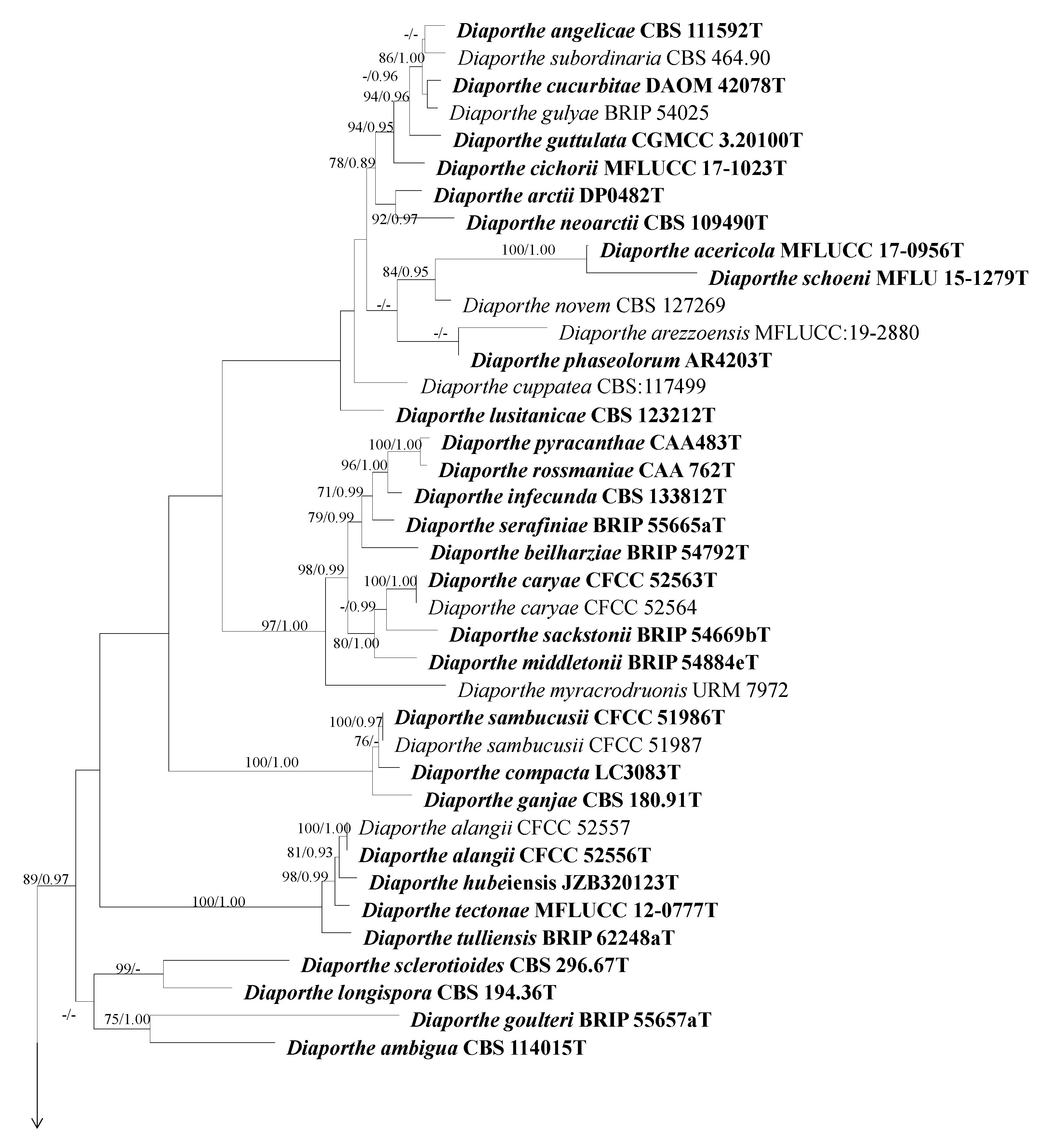Plants 13 03238 g003a