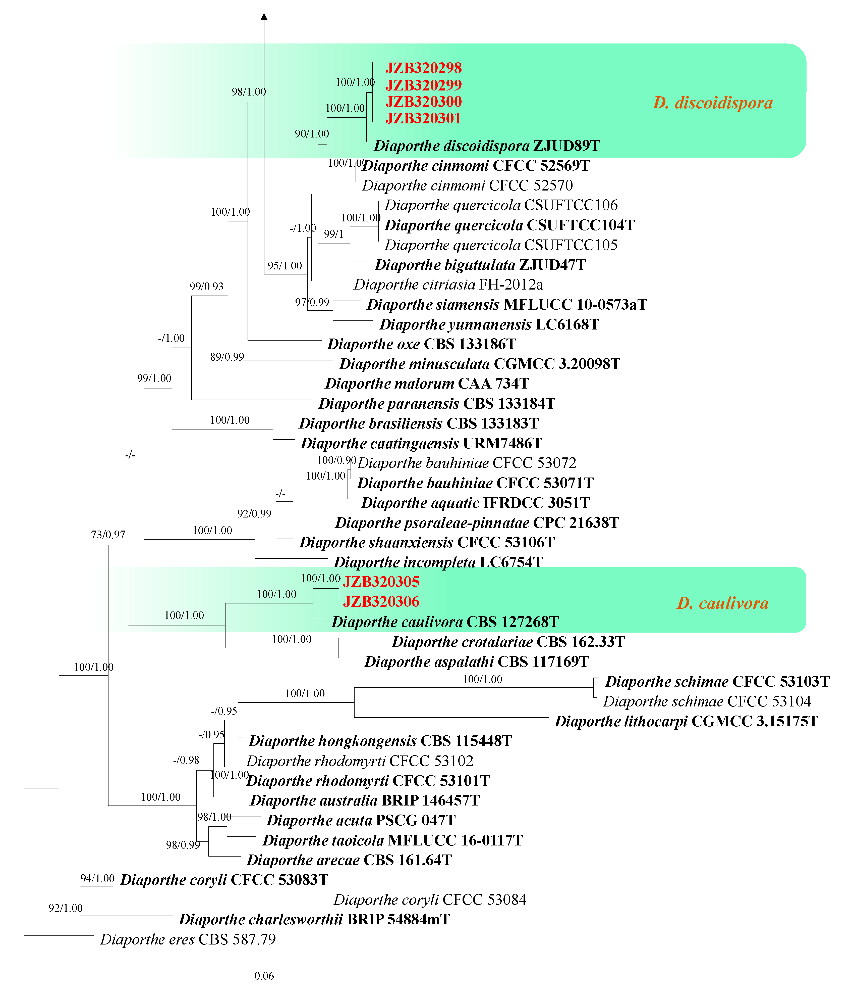 Plants 13 03238 g003b