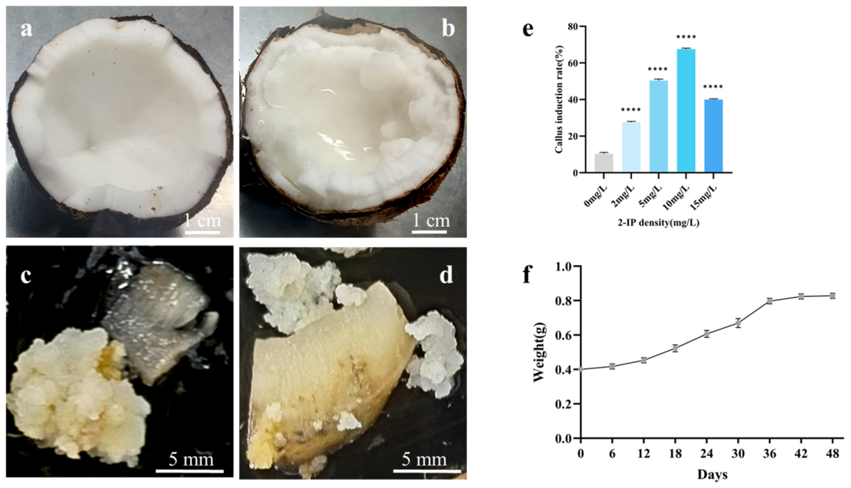 Plants 13 03242 g001