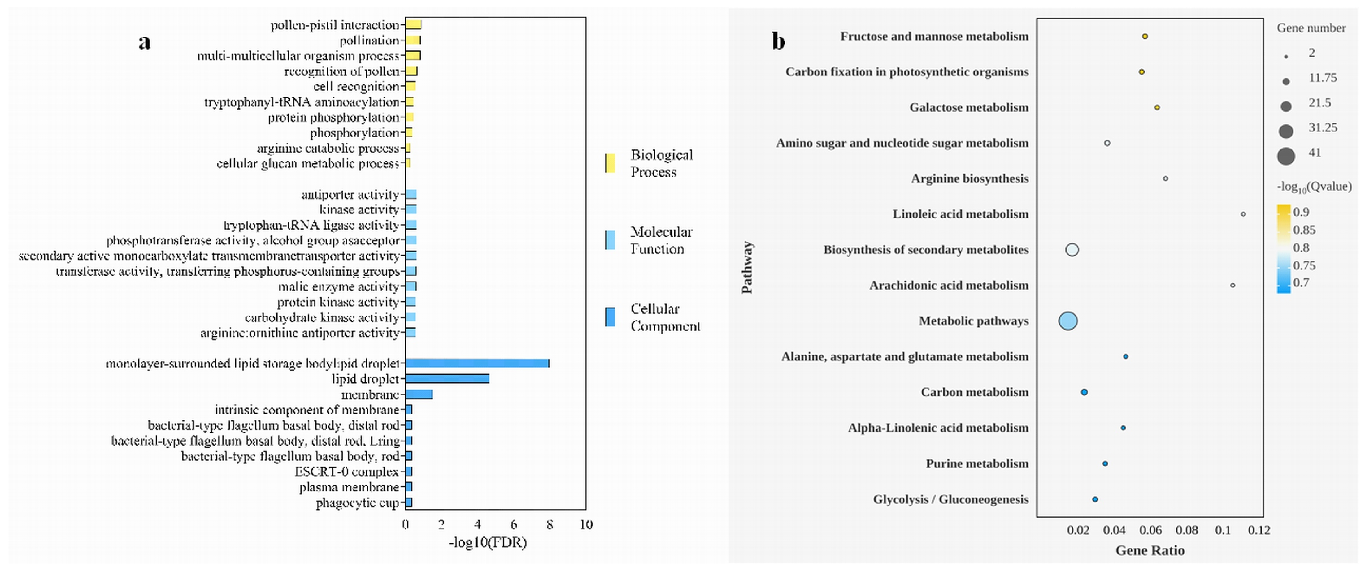 Plants 13 03242 g003